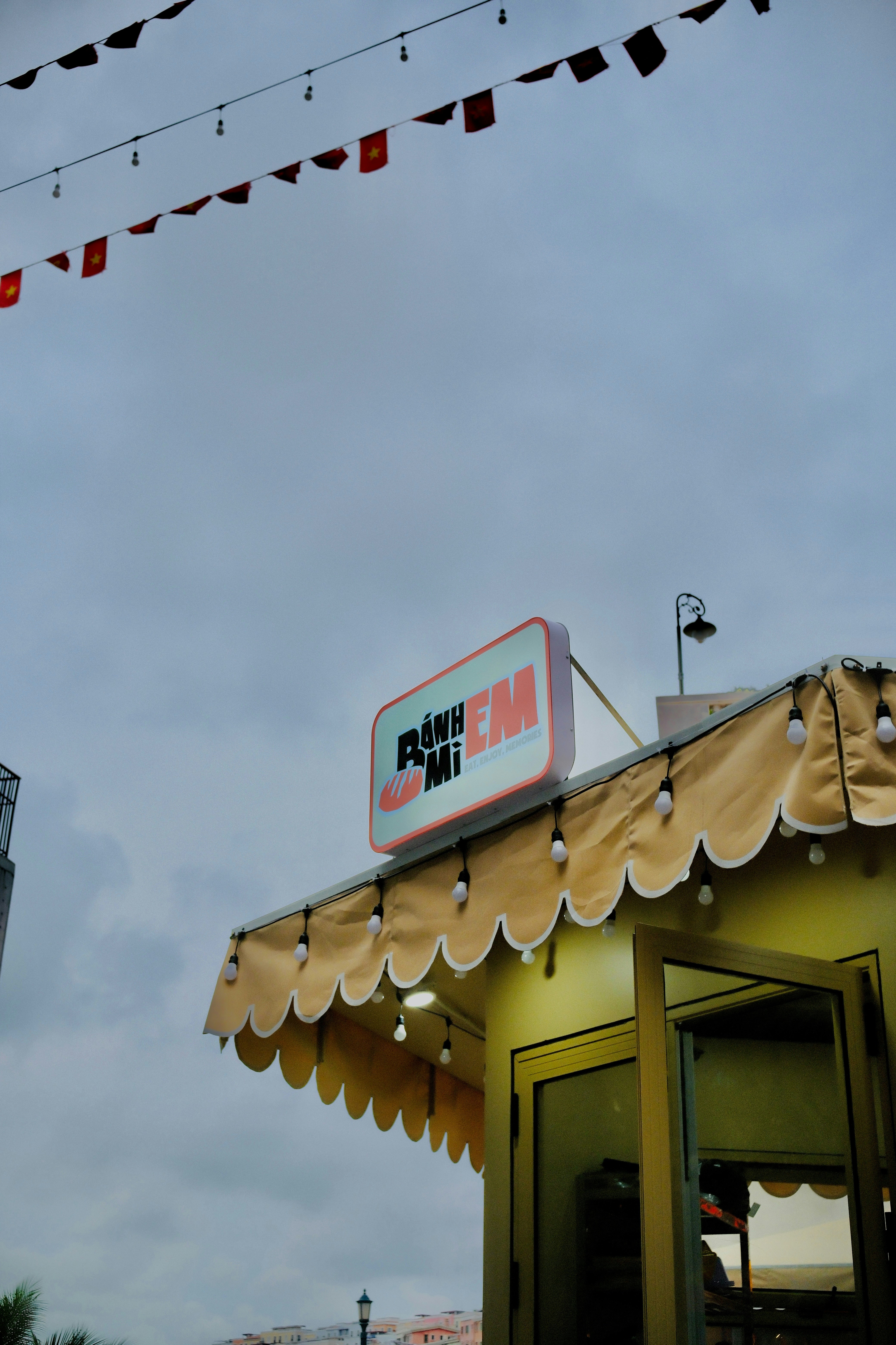 The Ackee Economy: From Backyard Trees to Export Markets