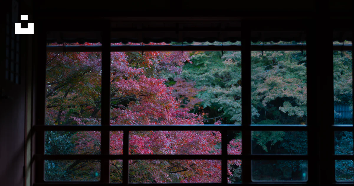 Fall Tree Window View View of autumn trees through a traditional window photo – Free Interior ...