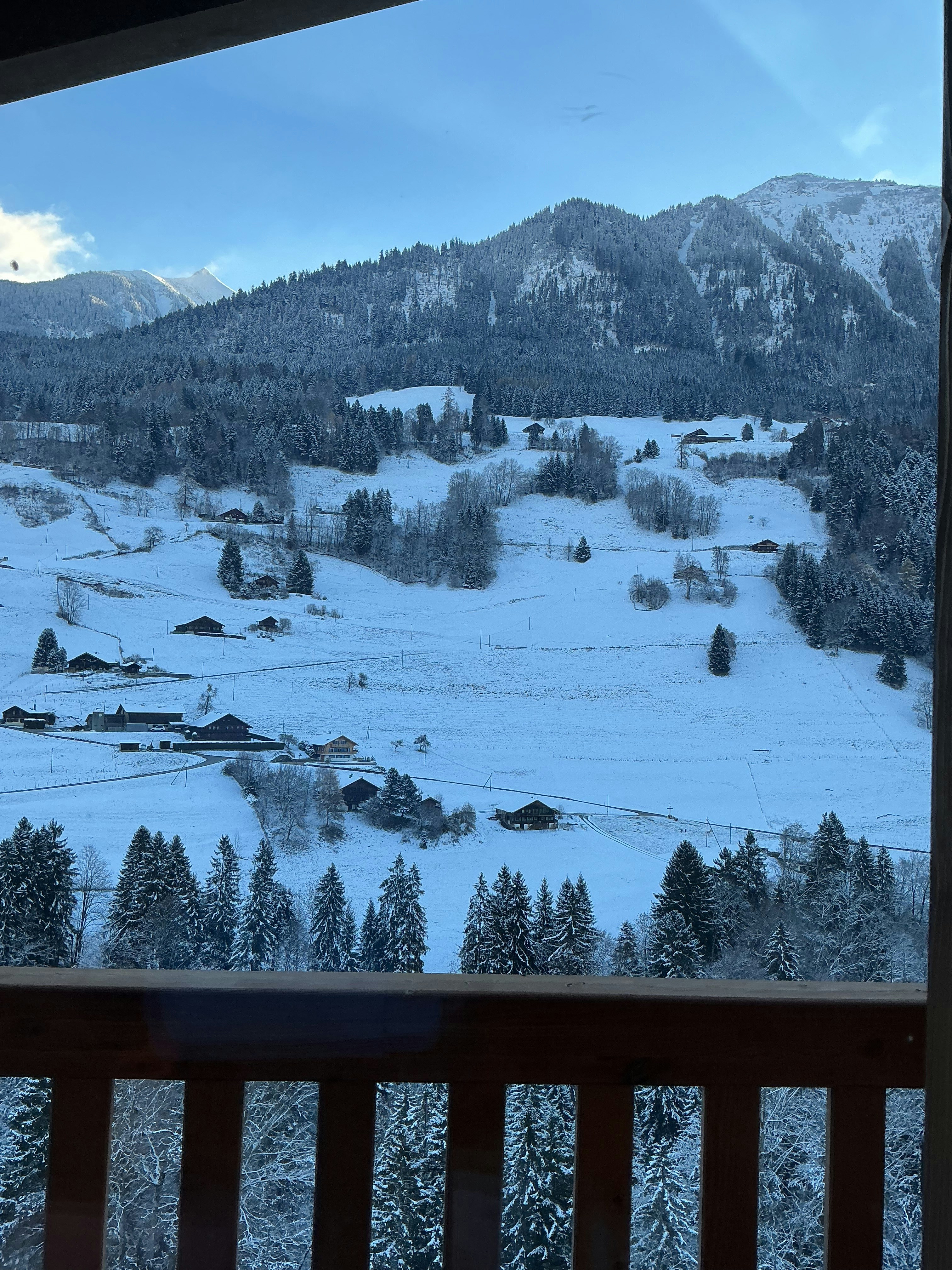 Photo by oleshkavip204