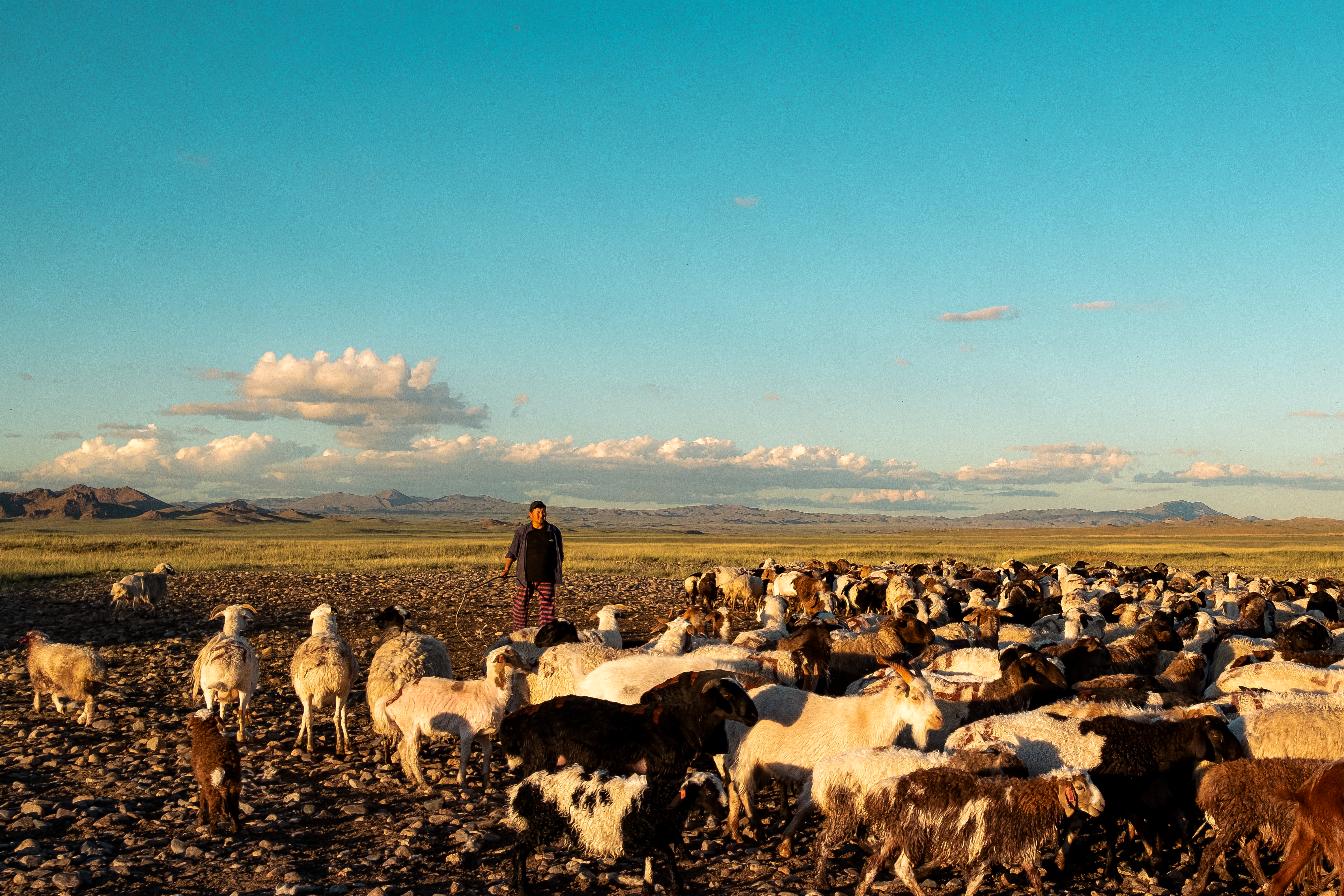 Photo by belle_bellll12