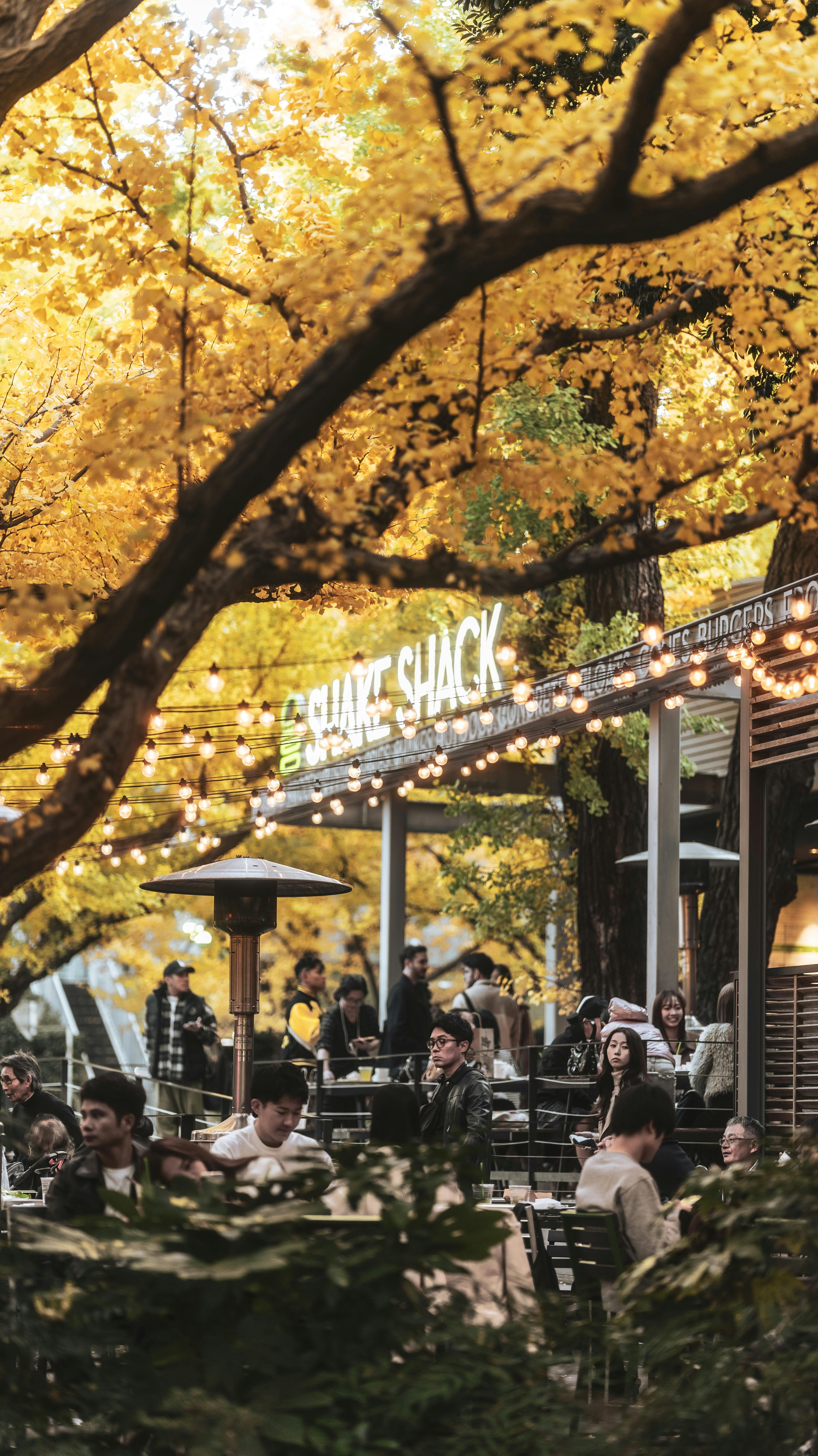 People dining outdoors under autumn trees and string lights.