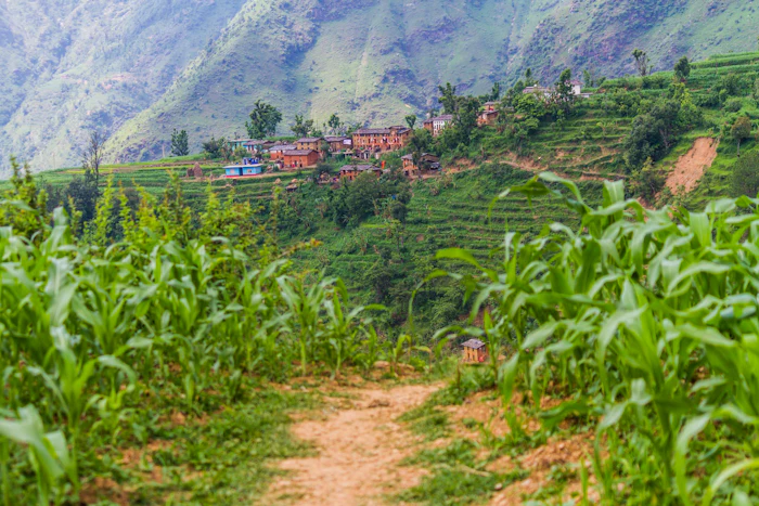 Rural Village