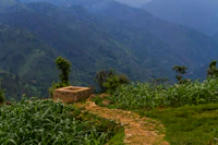 Best Season to Visit Namchi: When to Go, When to Skip, and Why It Matters