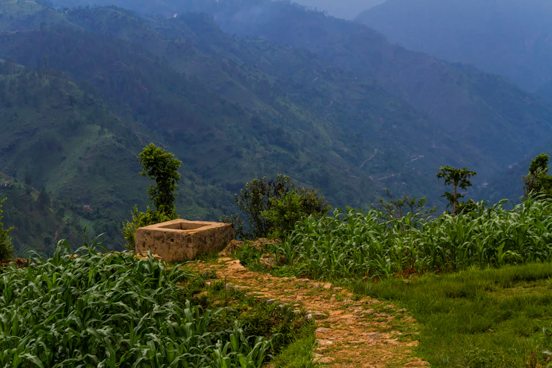 Best Season to Visit Namchi: When to Go, When to Skip, and Why It Matters