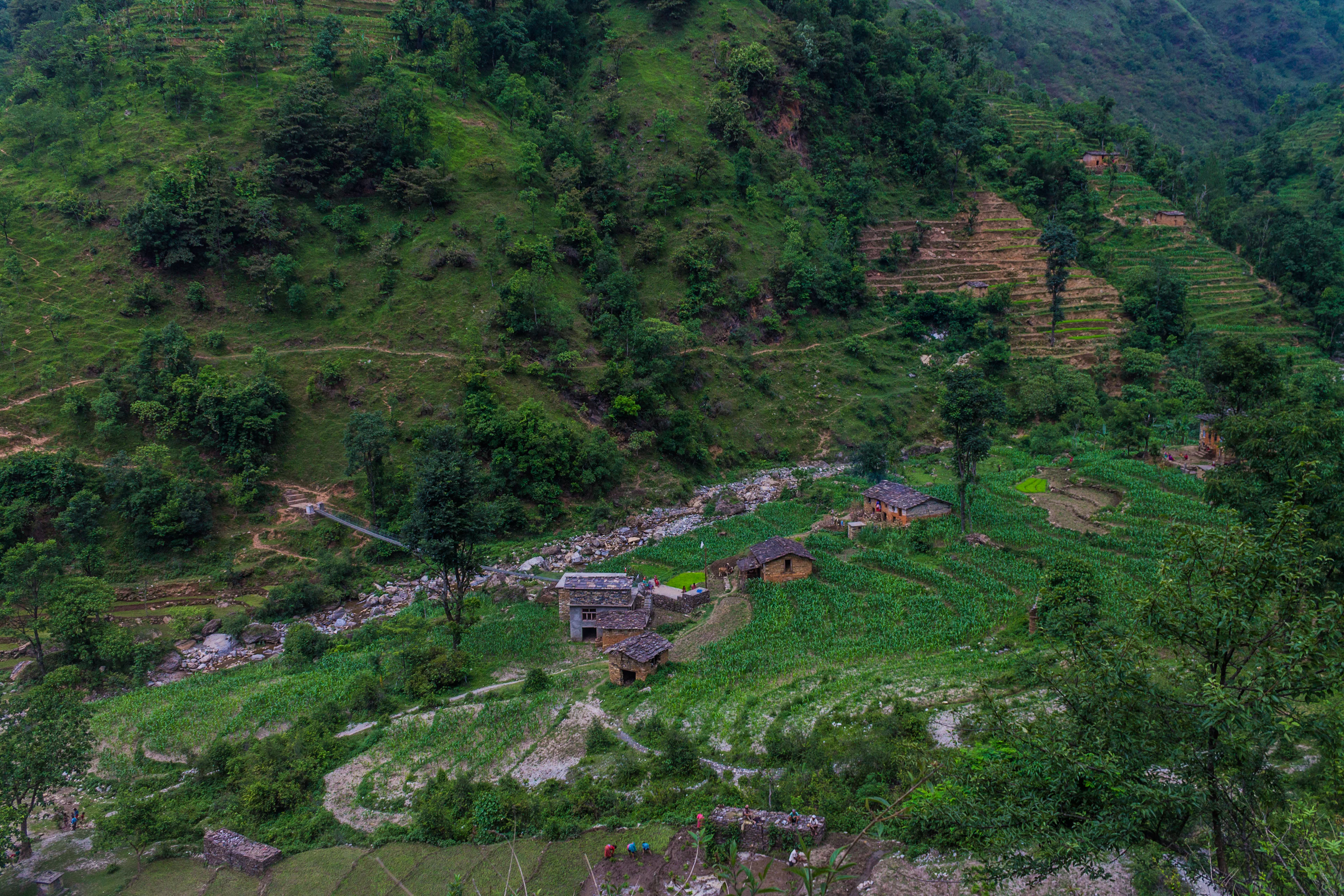 Terraced fields with scattered houses on a mountainside
