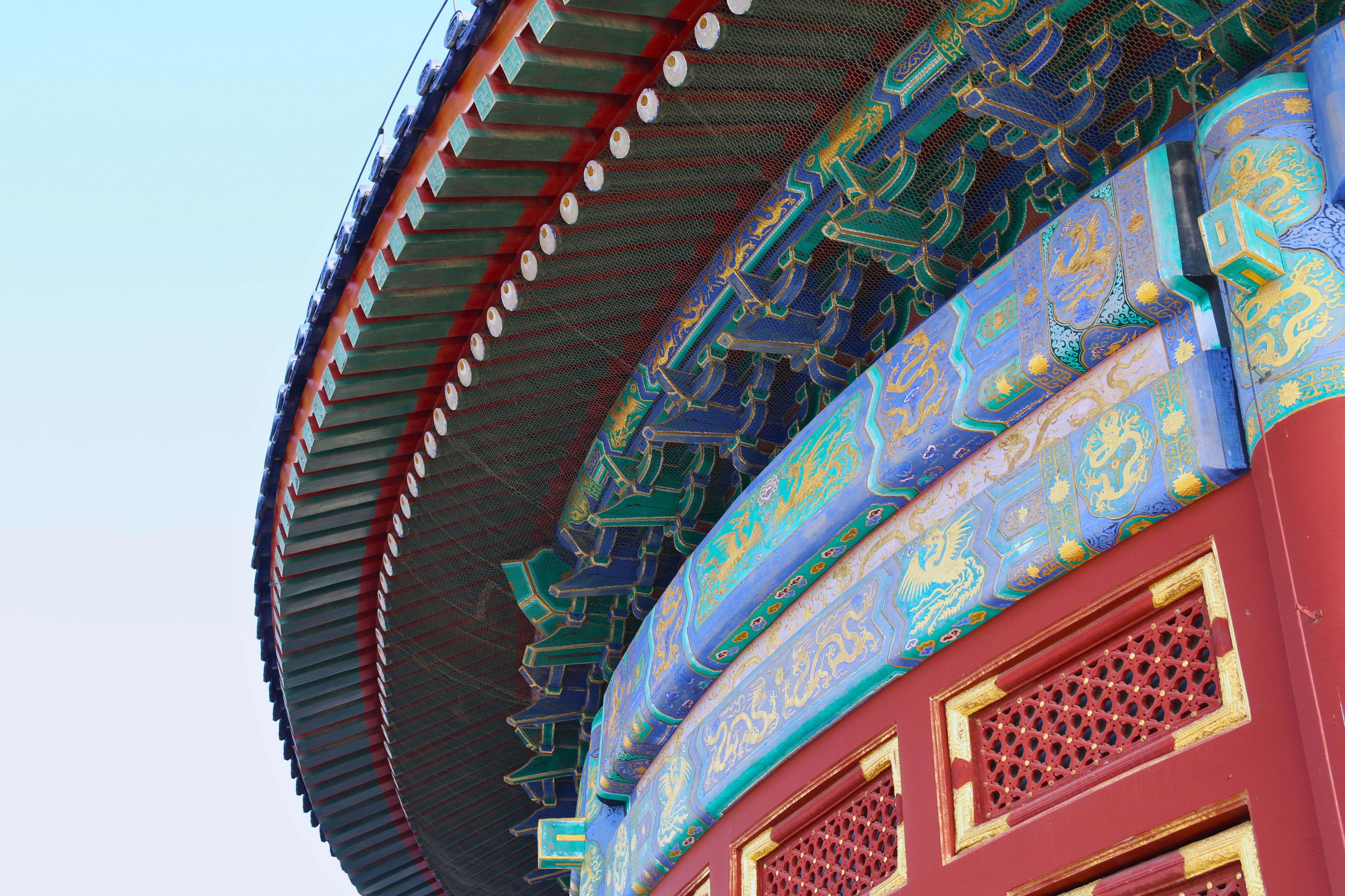 Photo by brunafisantos