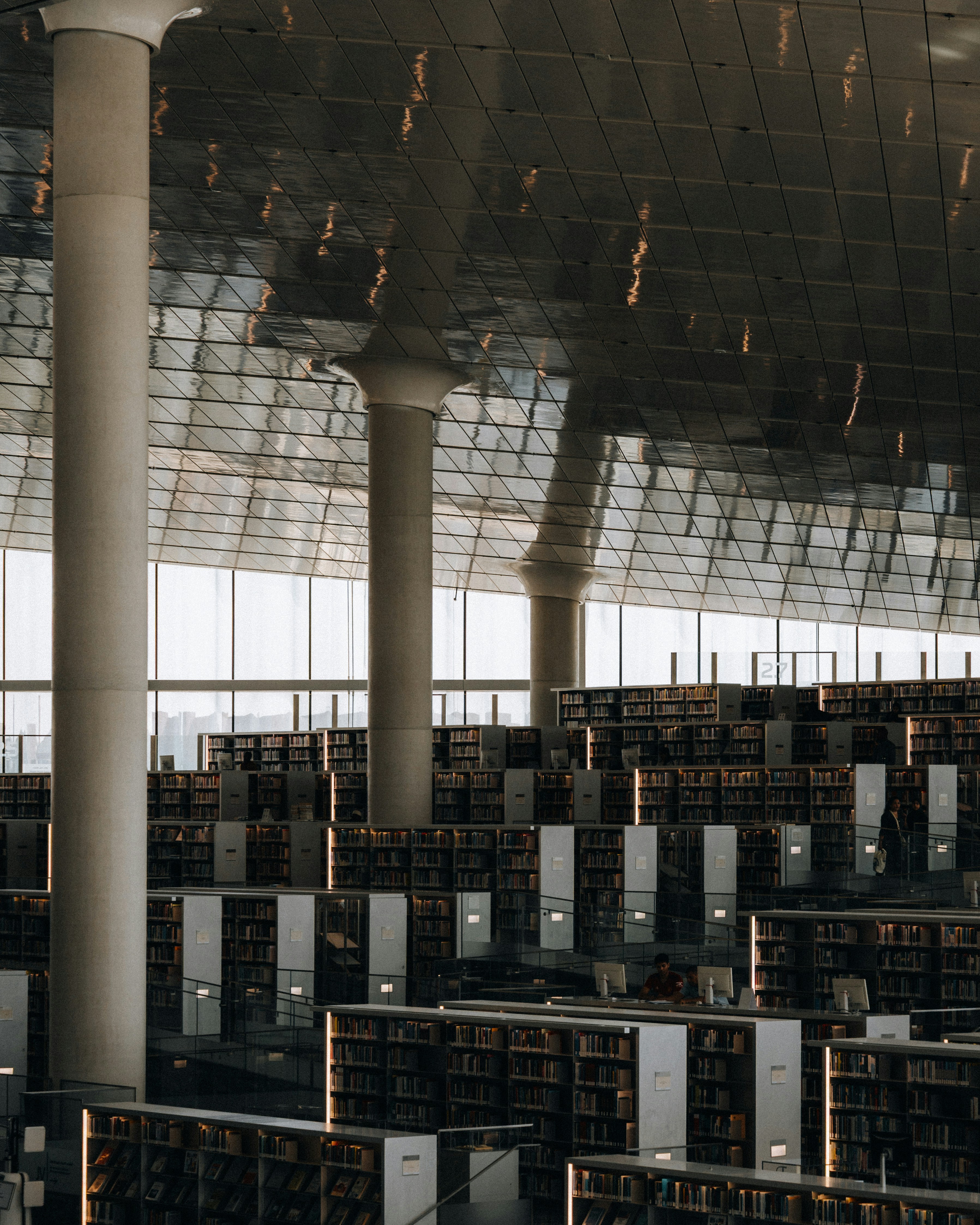 Rows of bookshelves in a modern library interior library