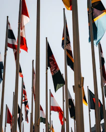 Many international flags flying on poles