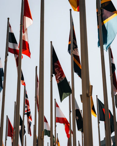 Many international flags flying on poles