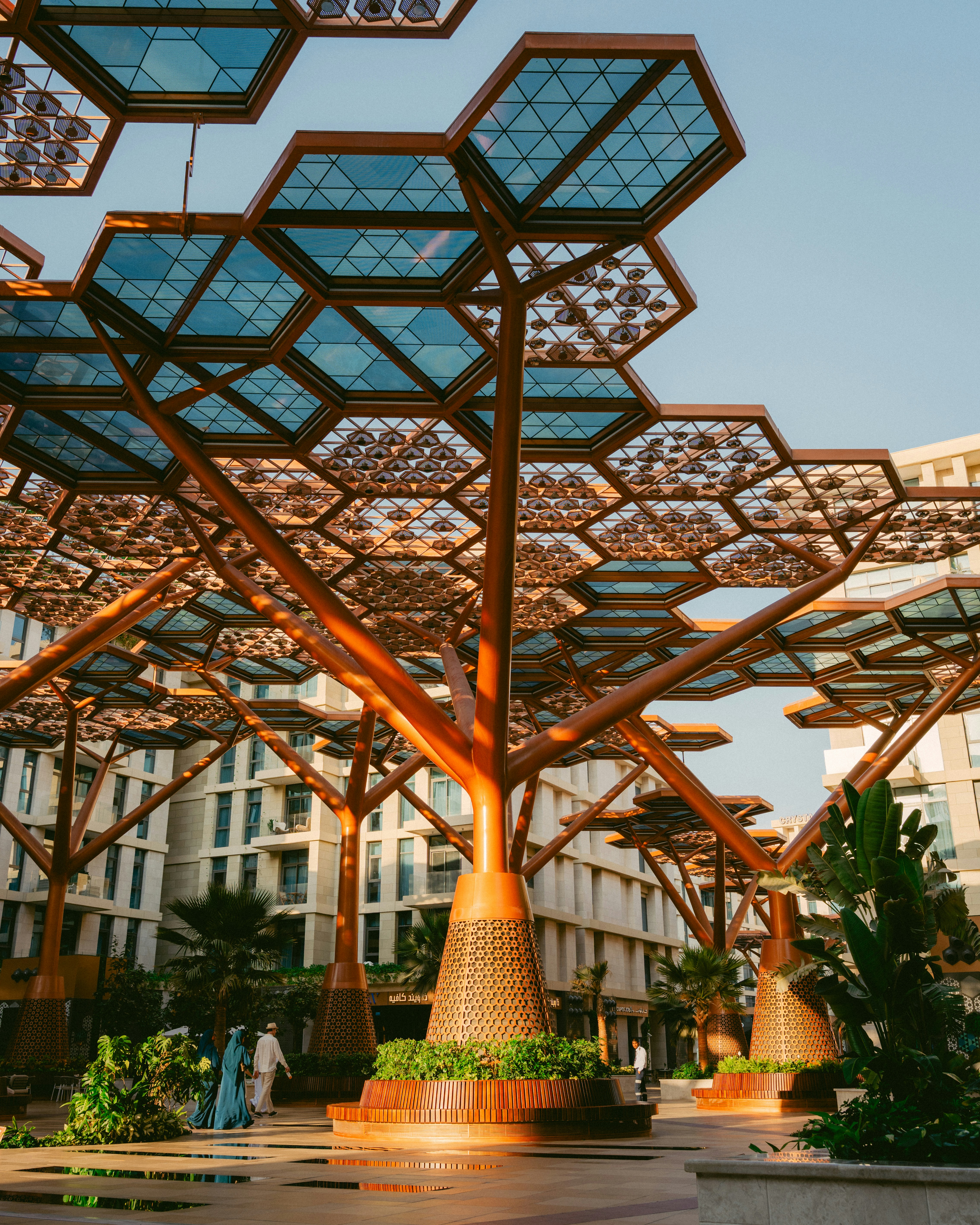 Modern architectural trees with hexagonal glass canopies