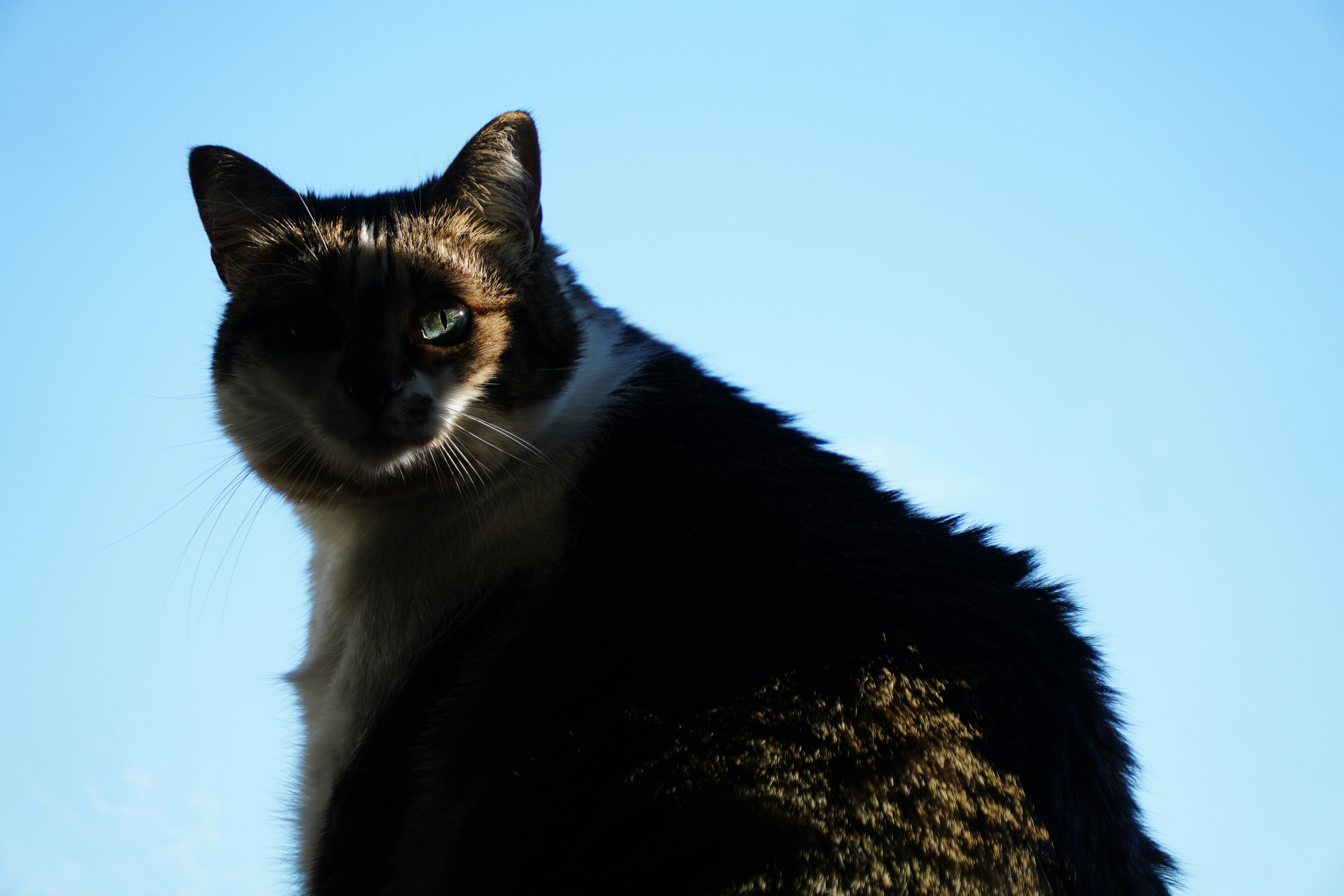 Photo by federico_di_lauro