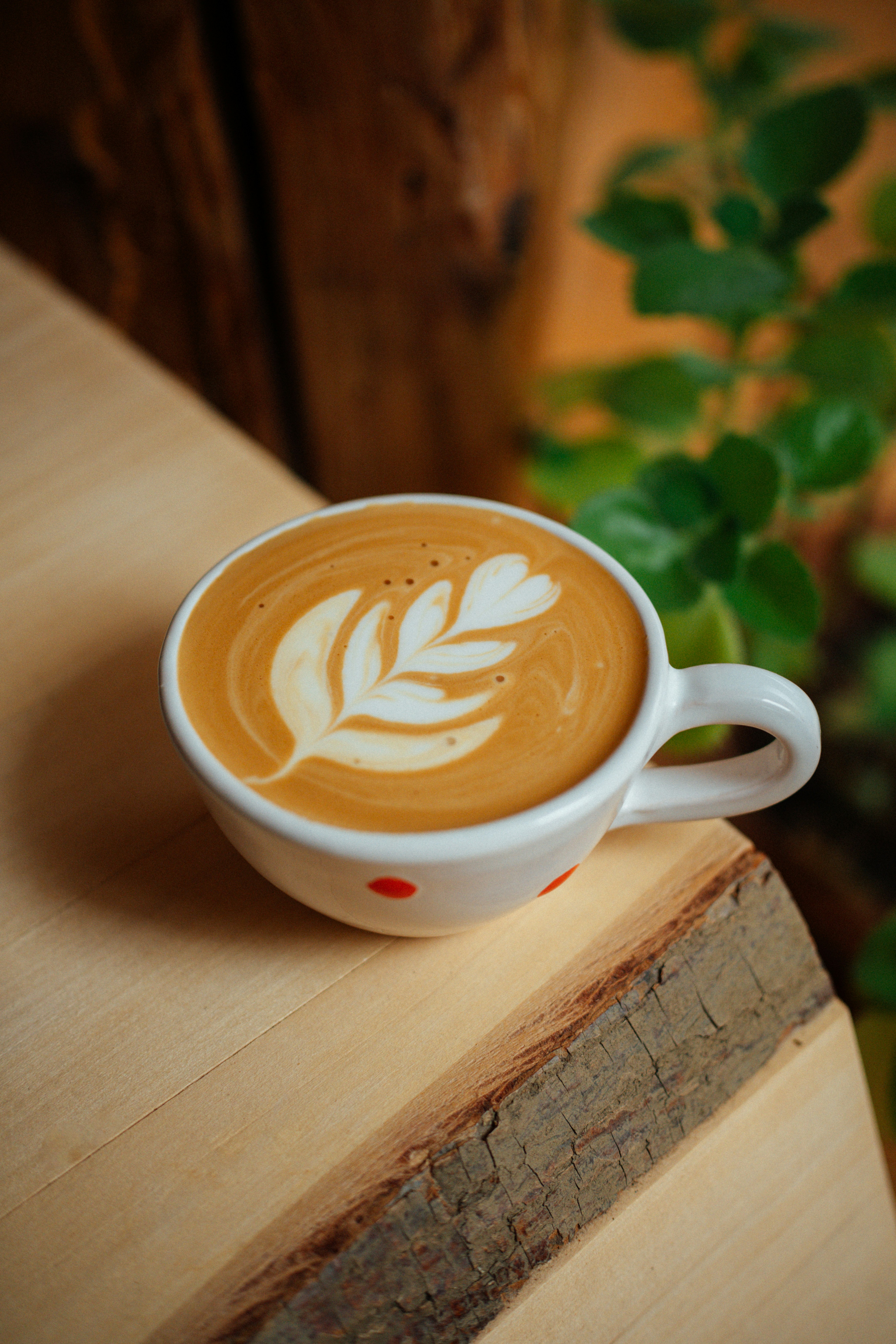 Photo by raymondpetrik