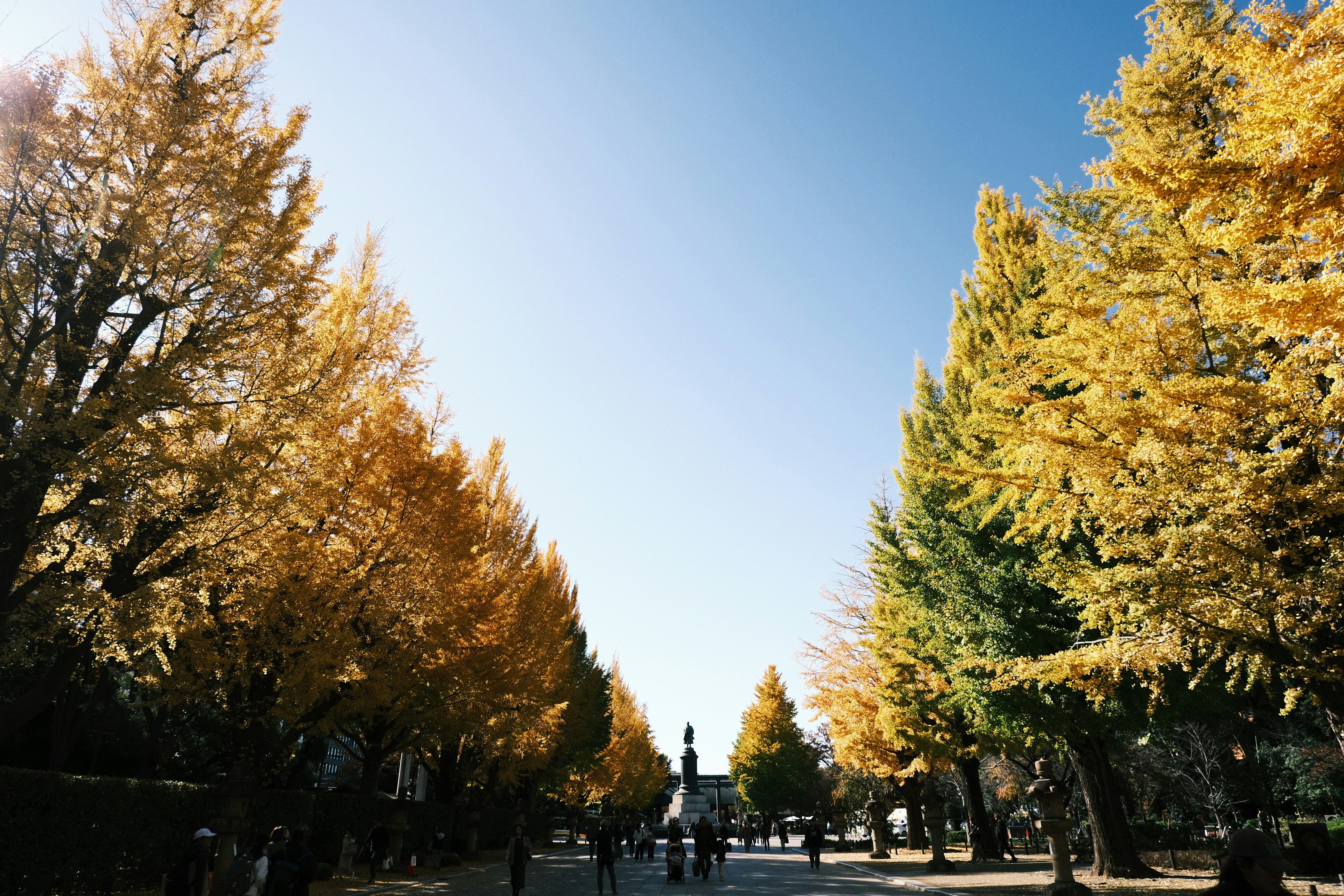 Photo by ultratunafish