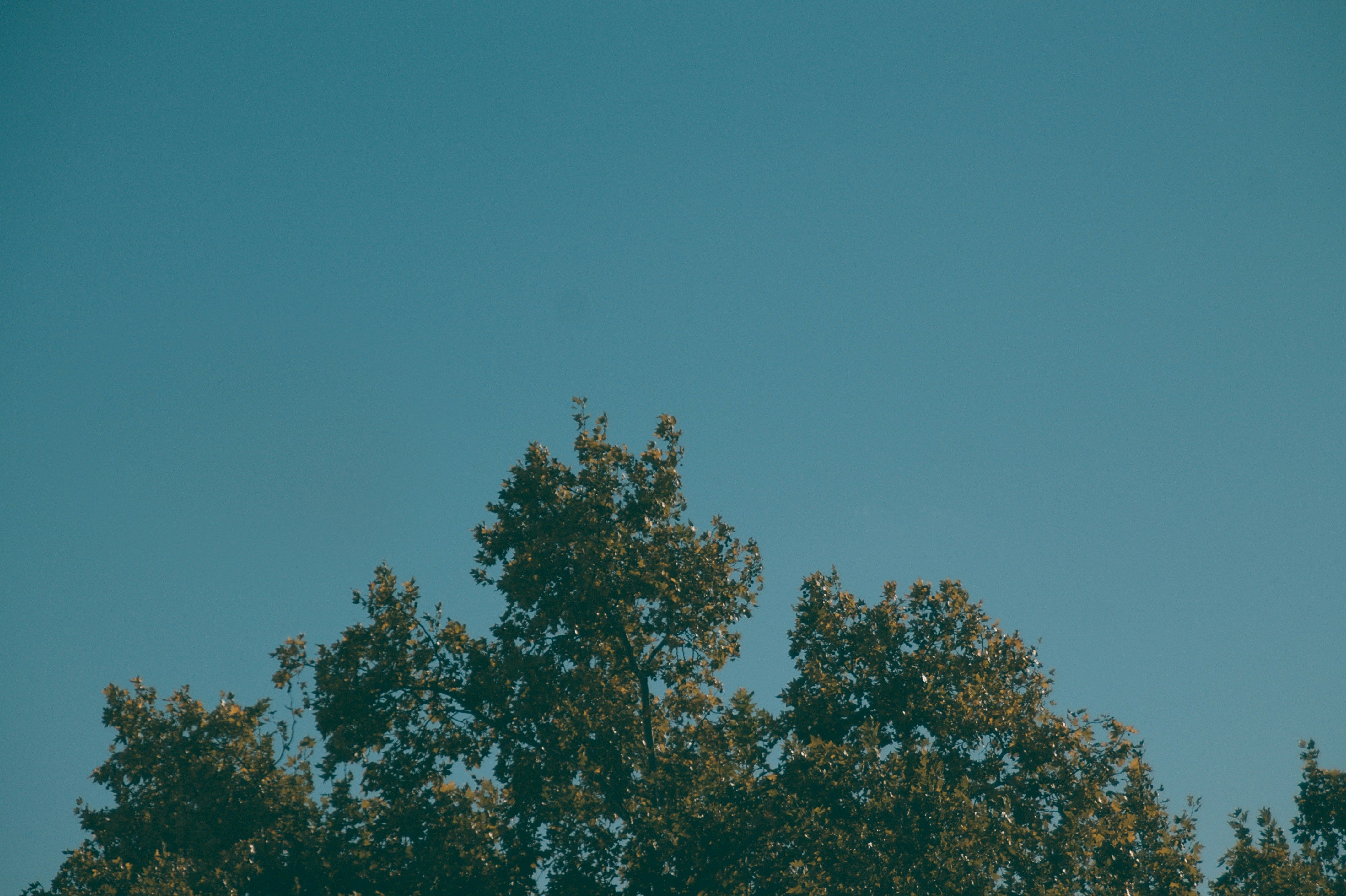 Photo by josesanchis16