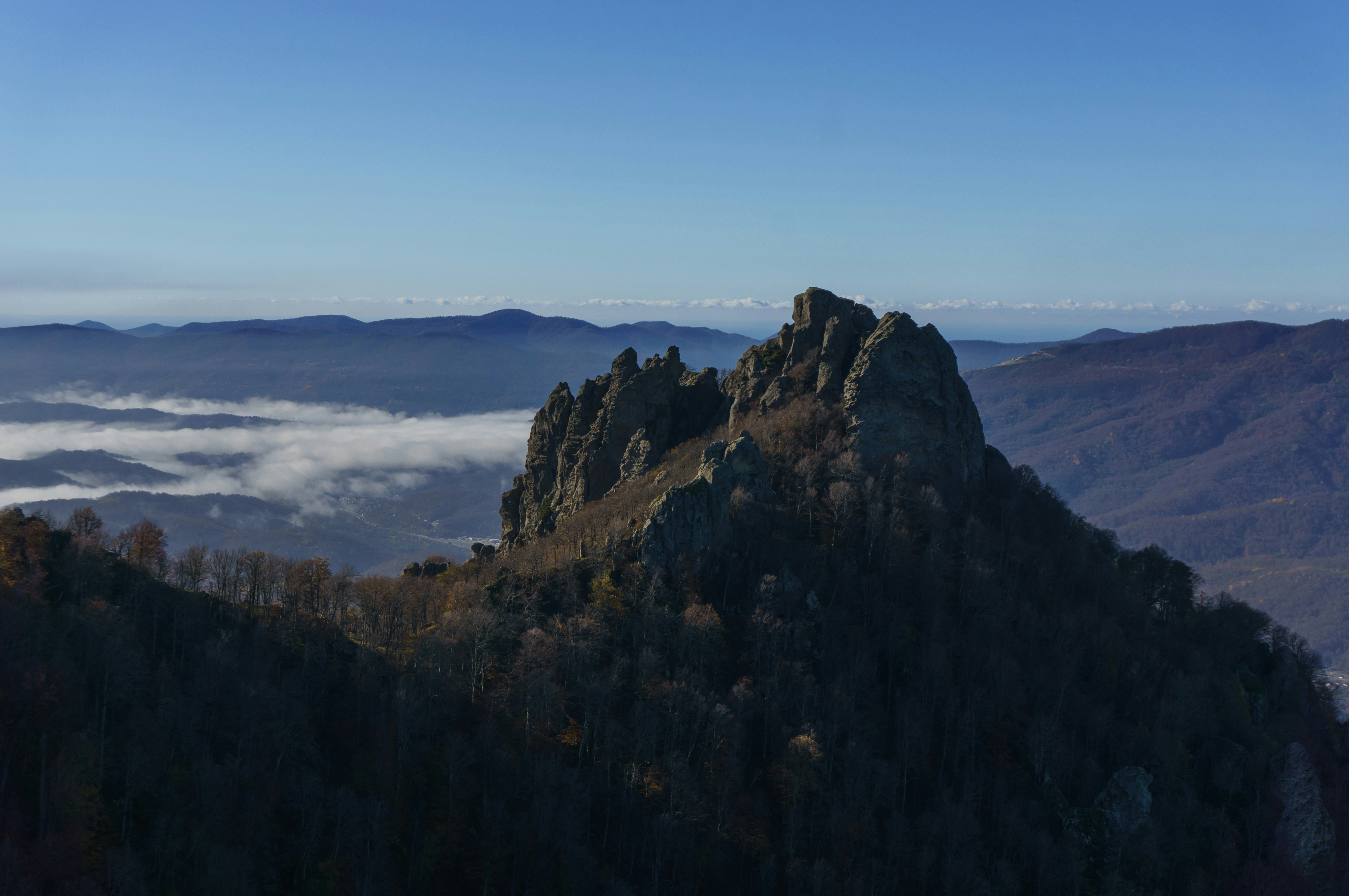 Photo by maksimzaviktorin