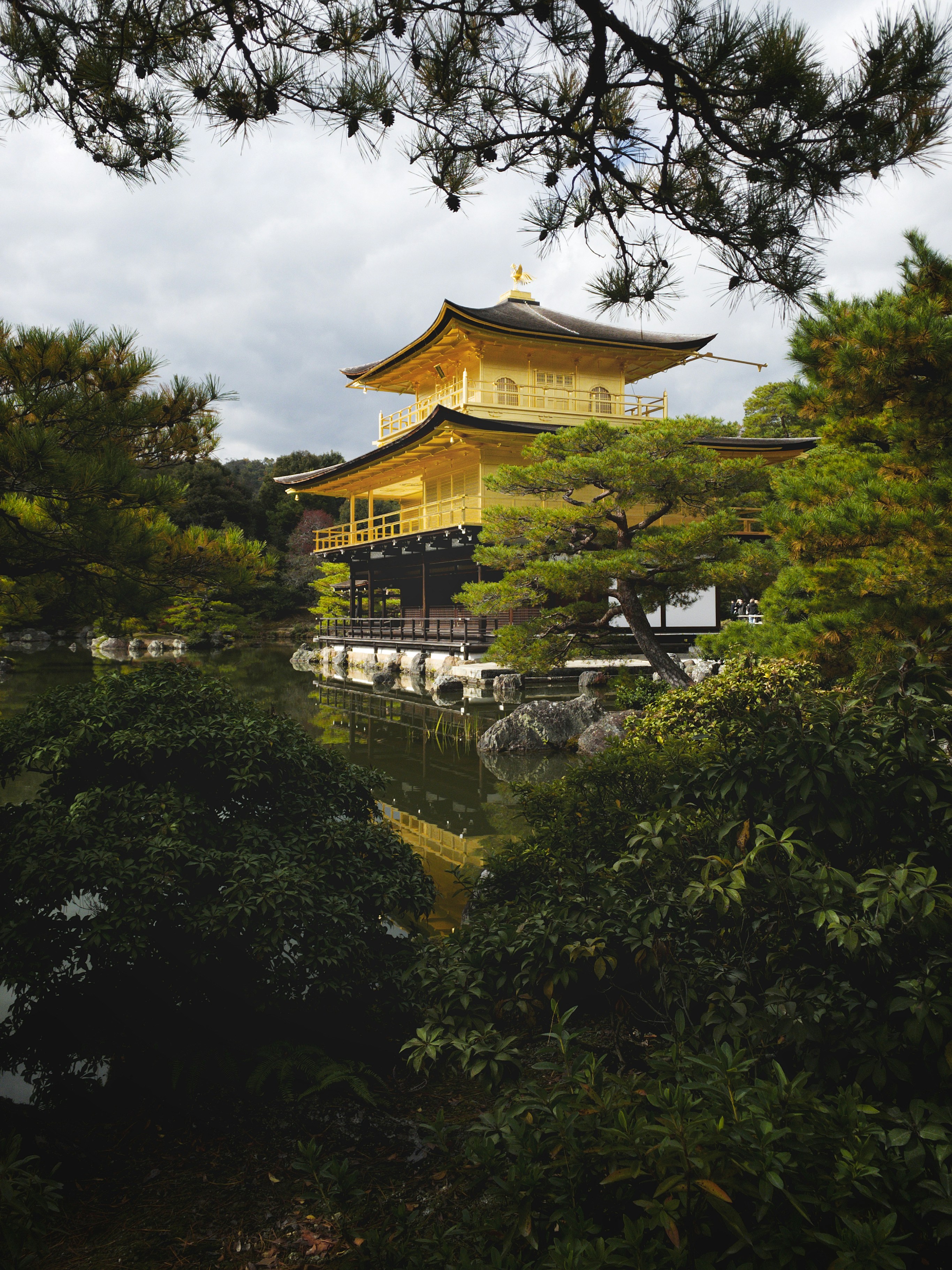 Golden pavilion temple surrounded by lush green trees