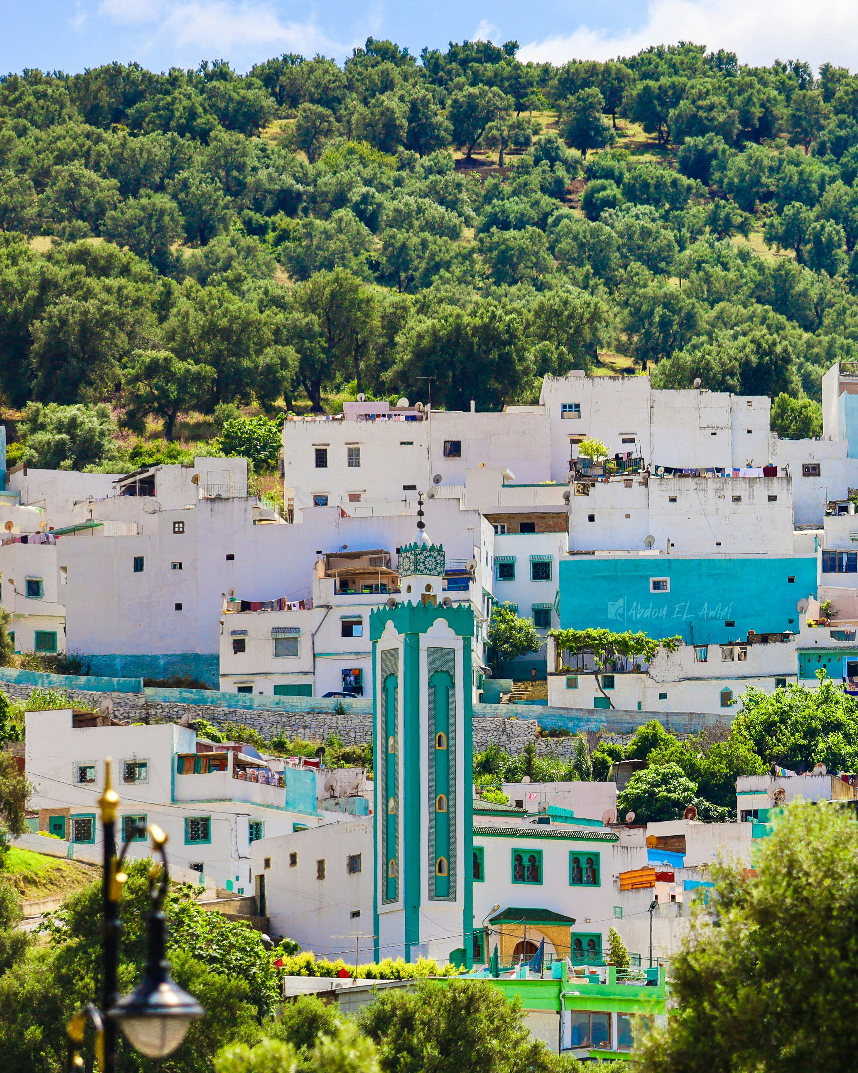 Cleaning Our Coasts: Volunteer Opportunities for a Greener Morocco