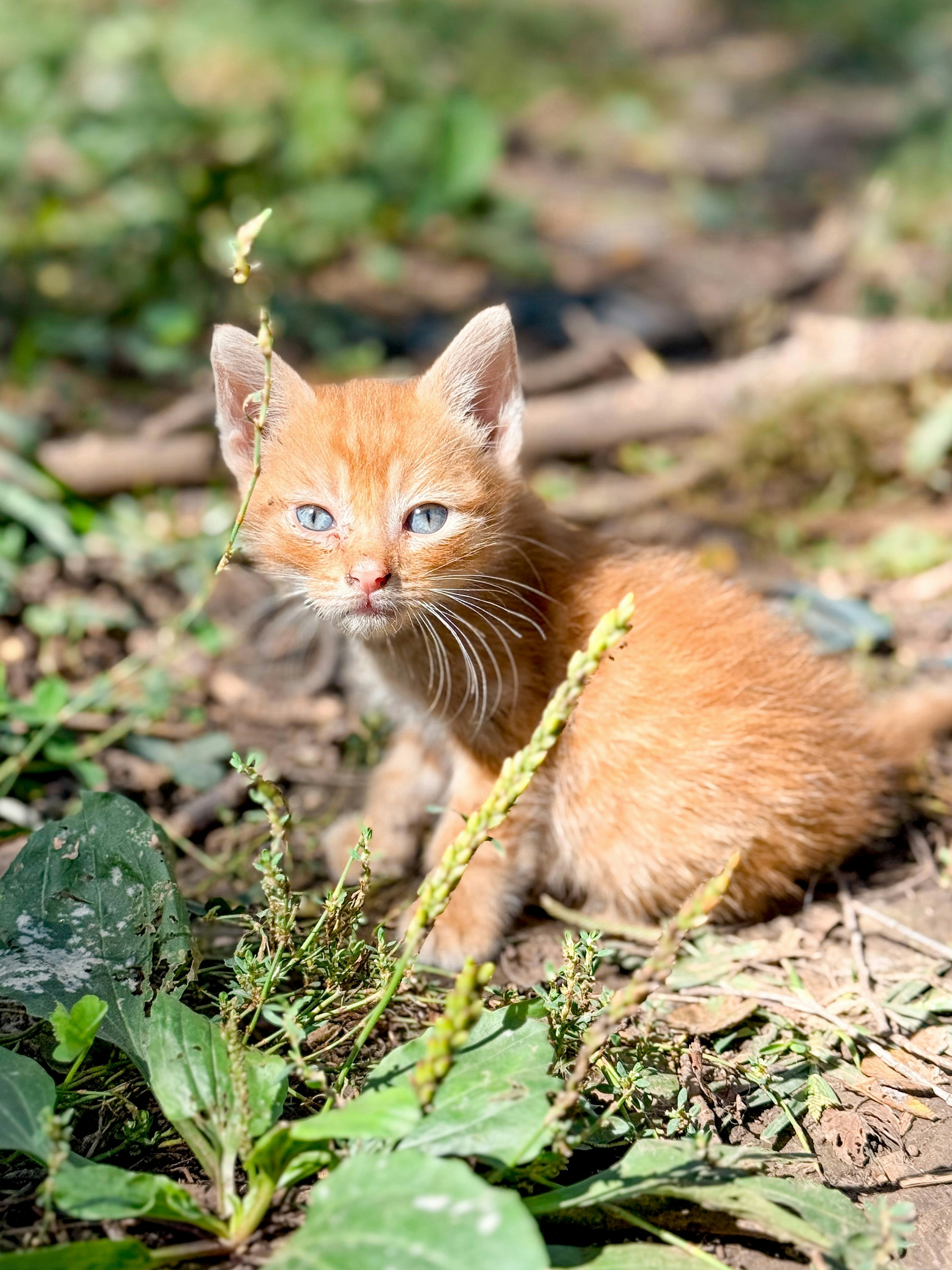 Photo by chelseakphotography