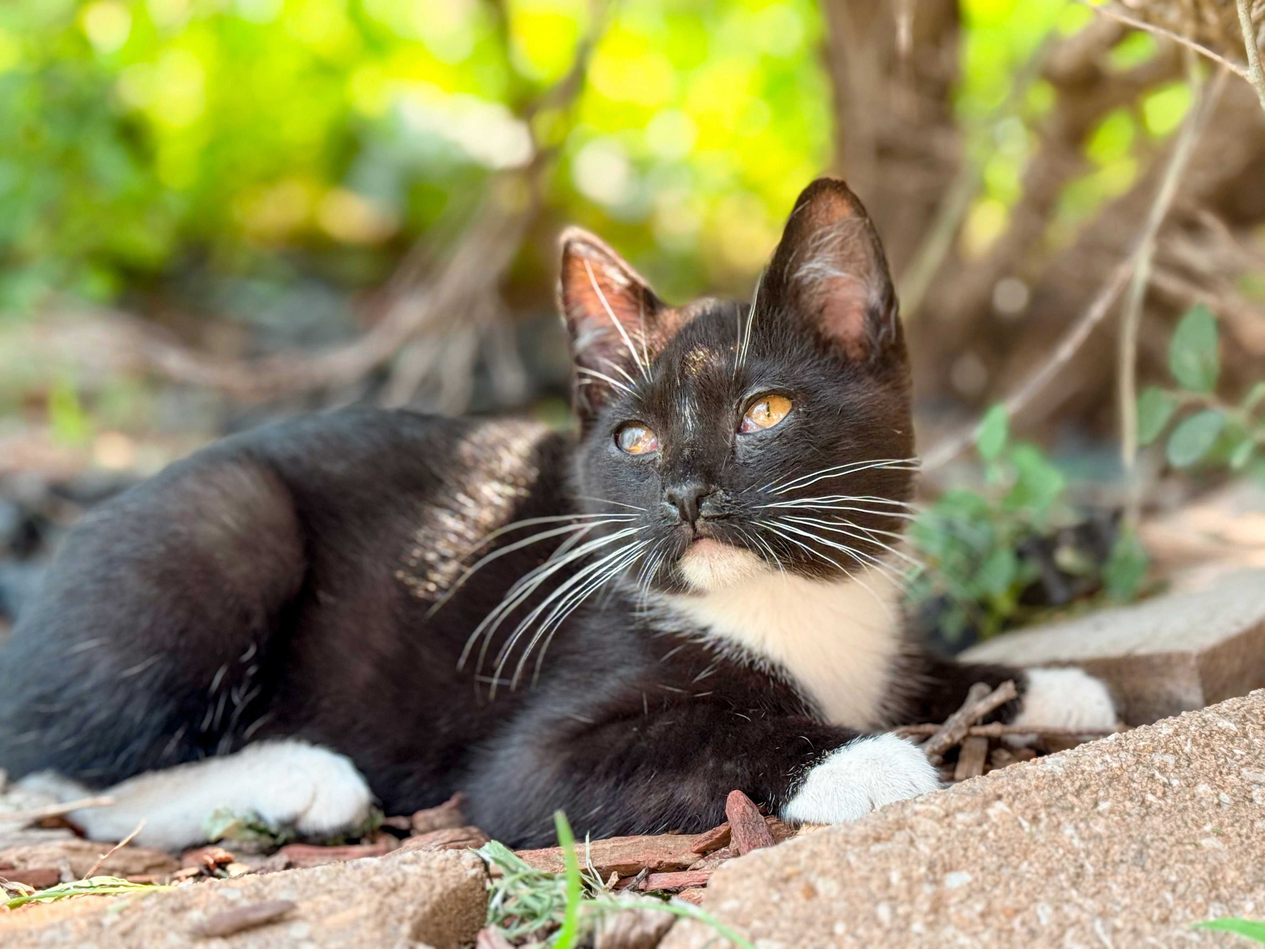 Photo by chelseakphotography