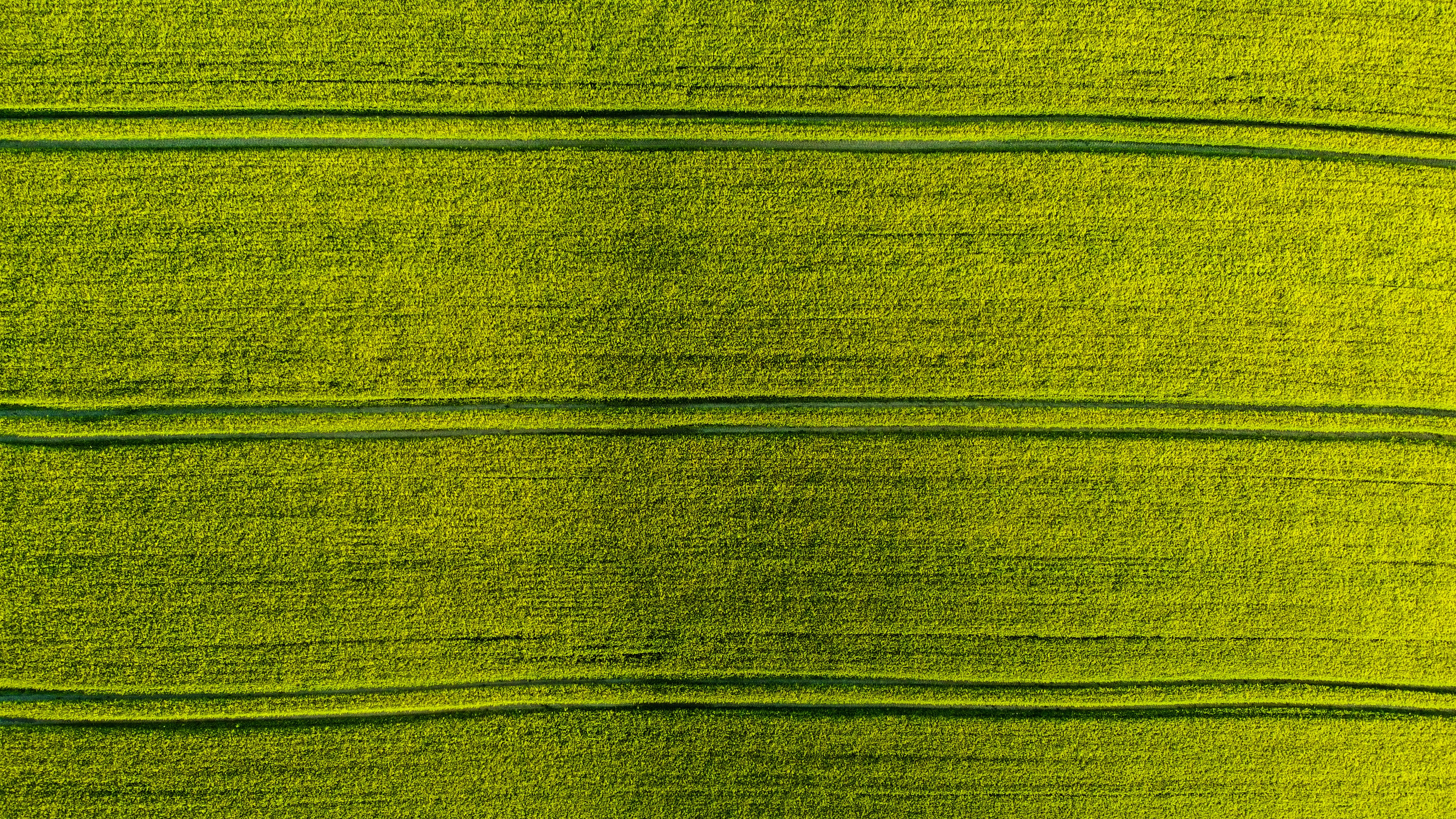 Photo by ad_sportfotograf