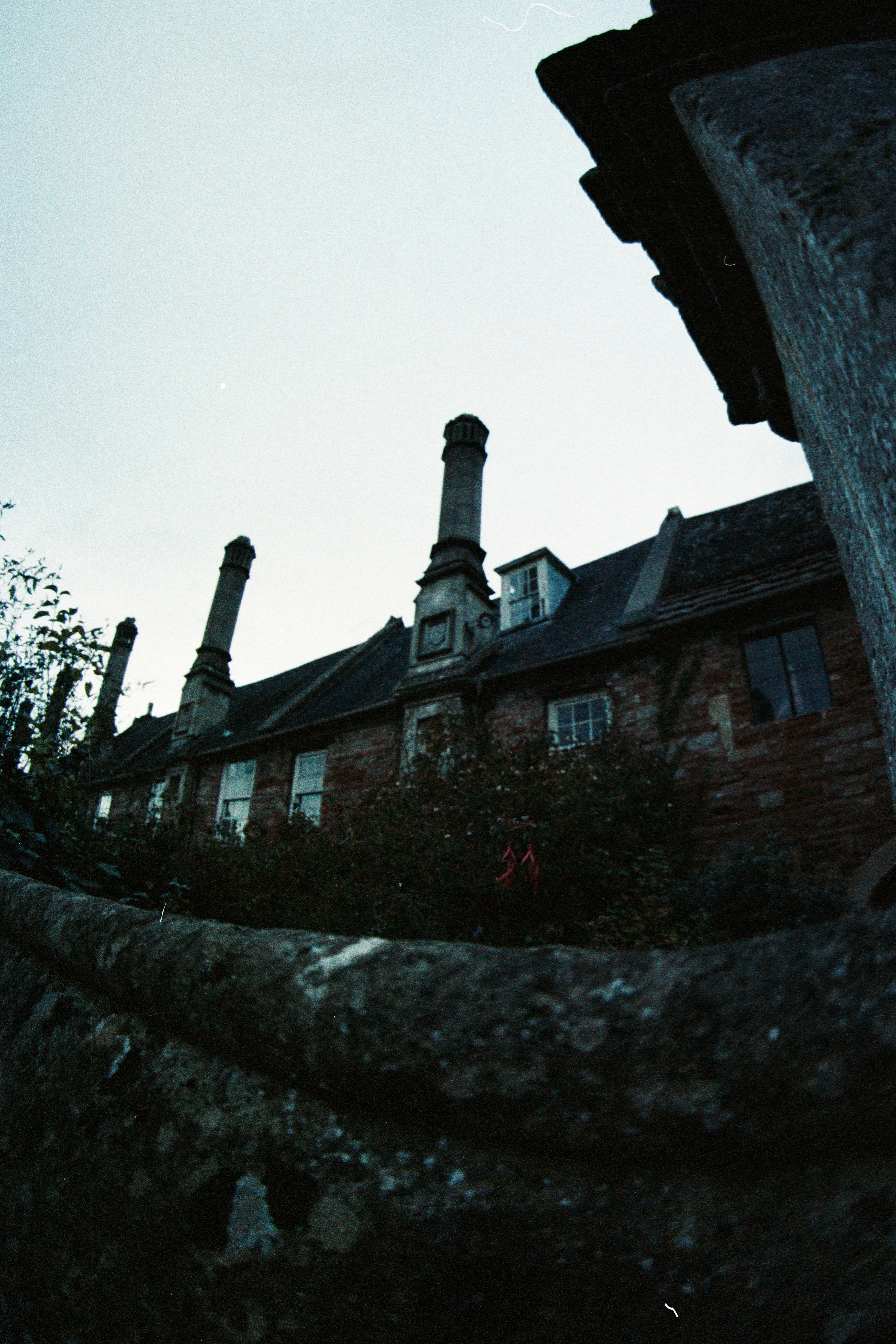 Photo by anniespratt