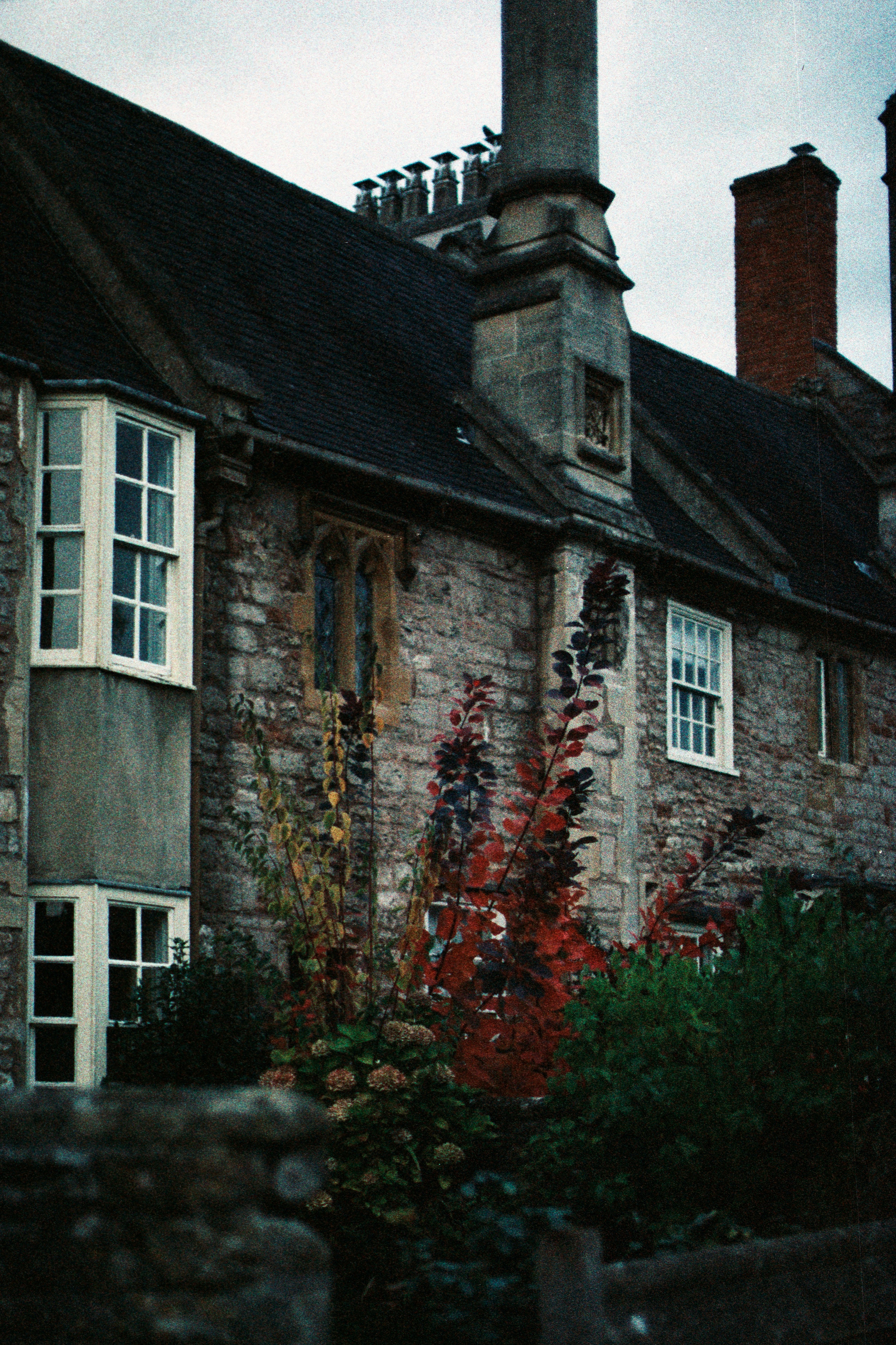 Photo by anniespratt