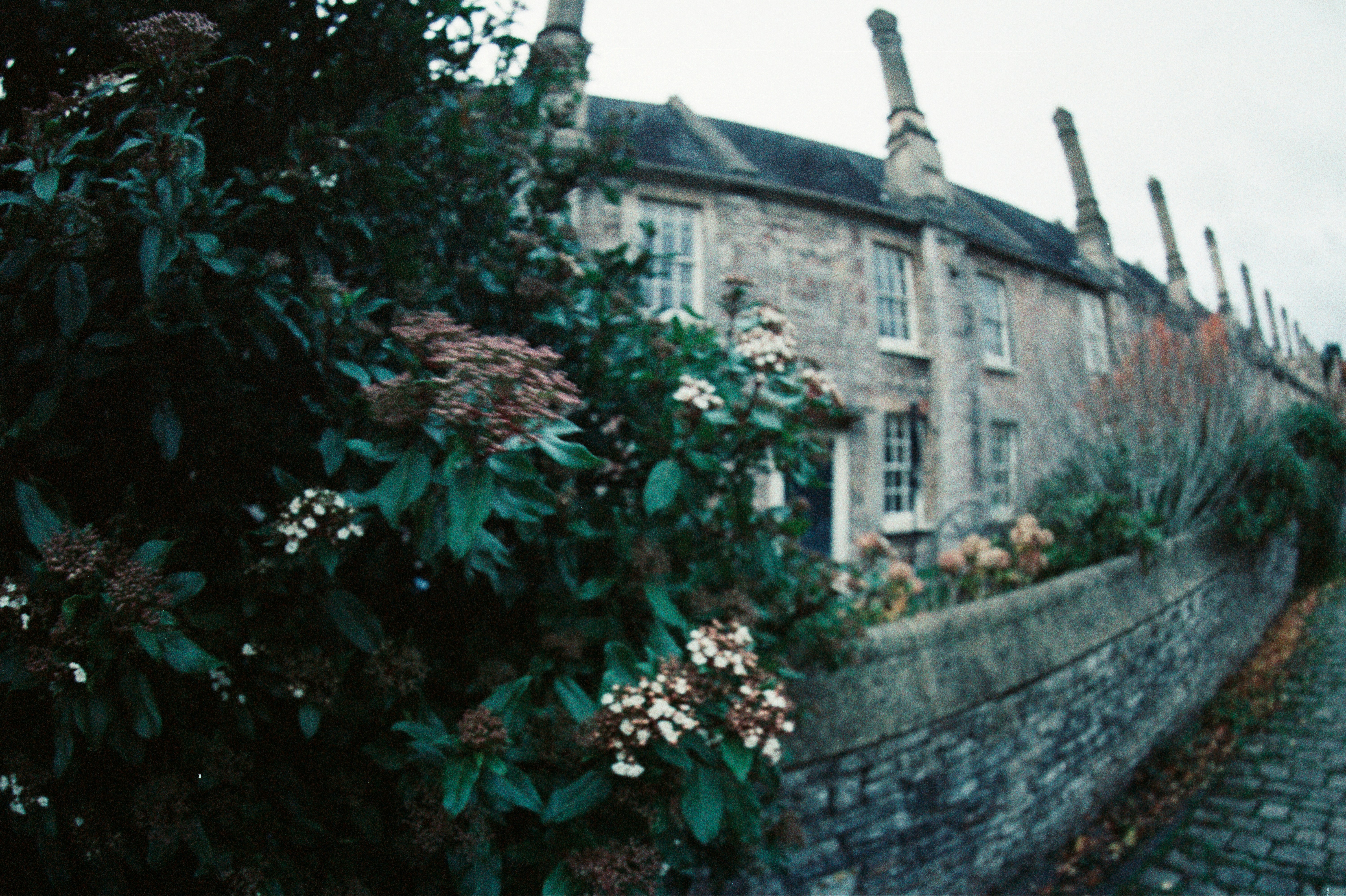 Photo by anniespratt