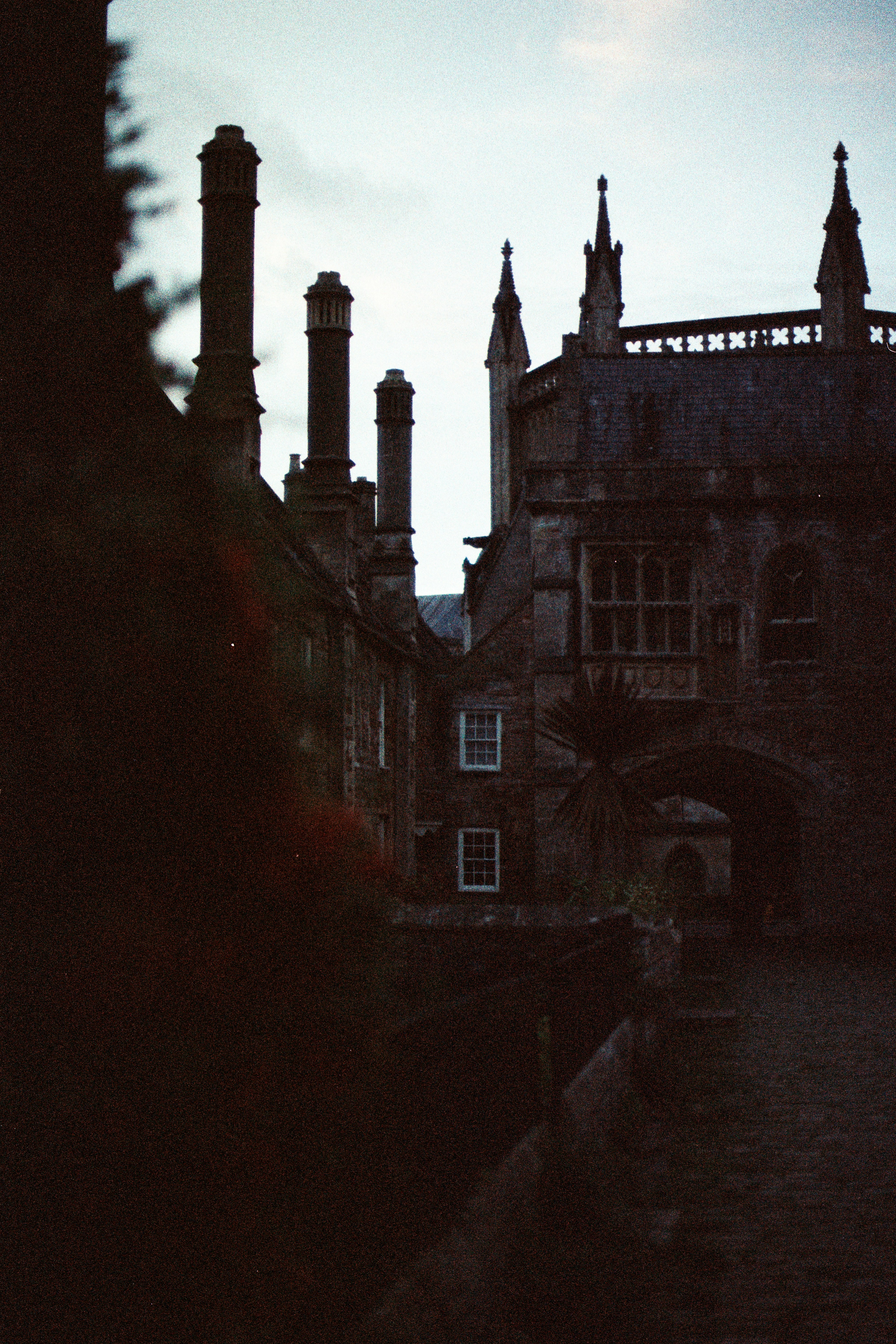 Photo by anniespratt