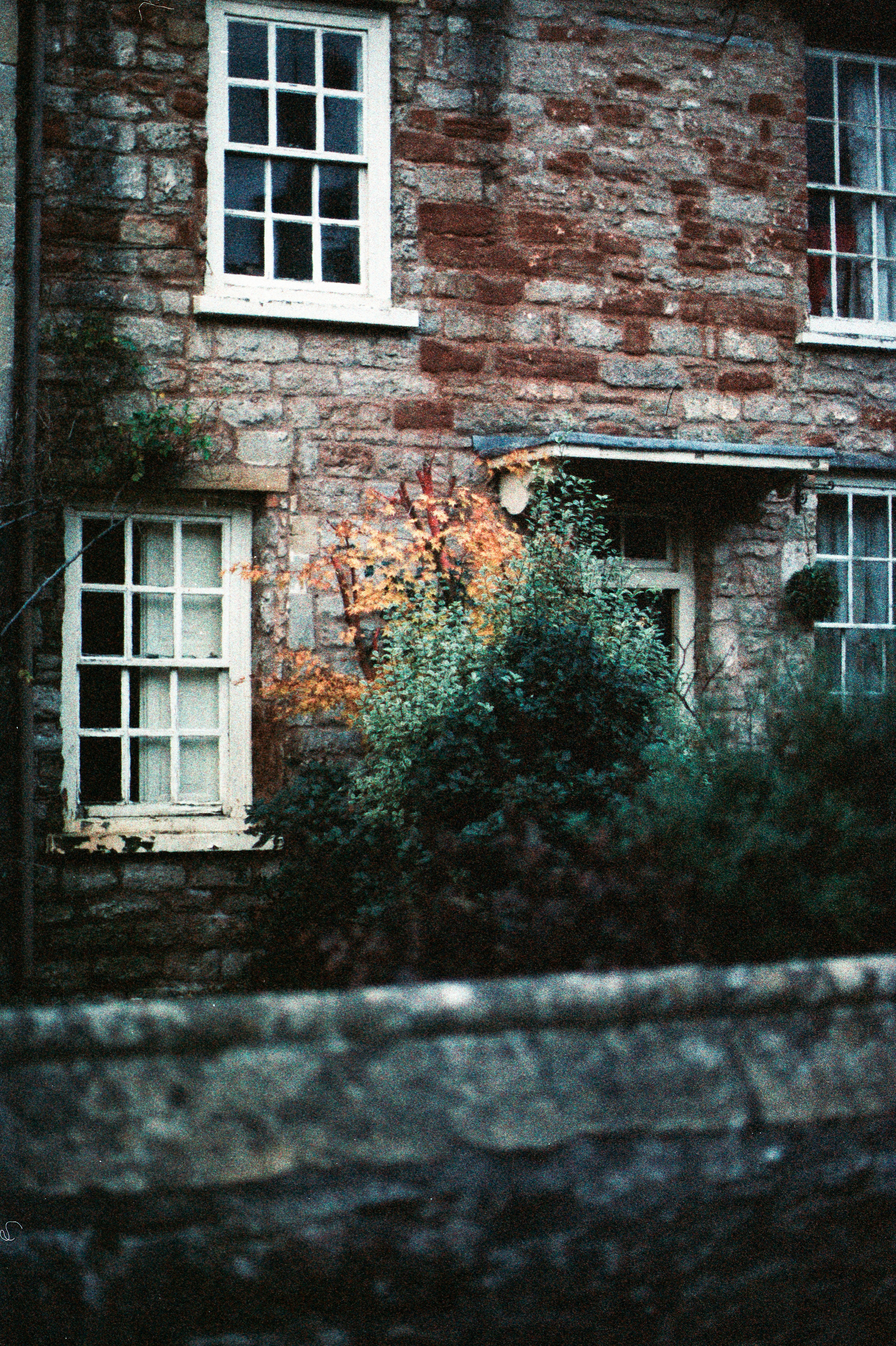 Photo by anniespratt