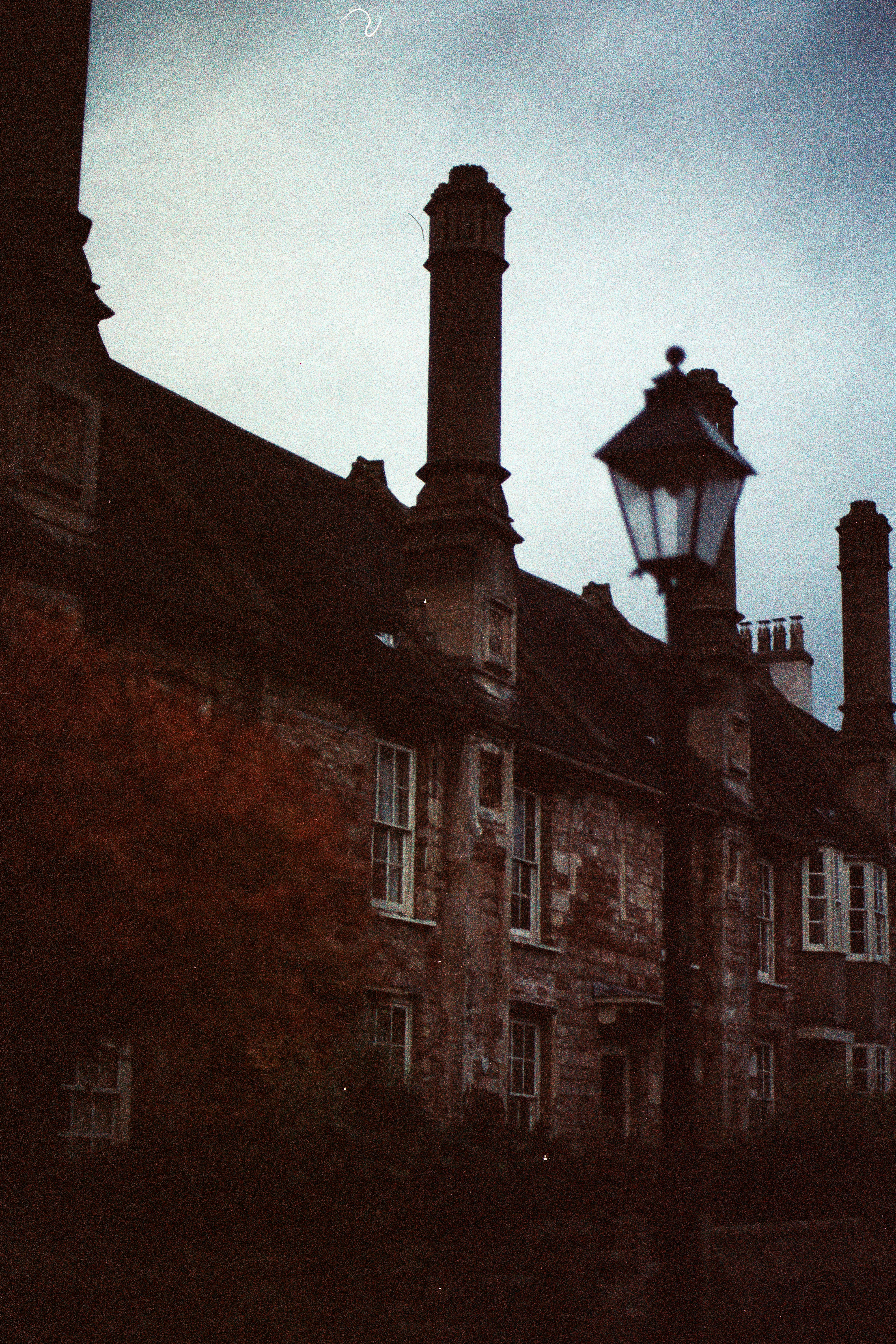 Photo by anniespratt