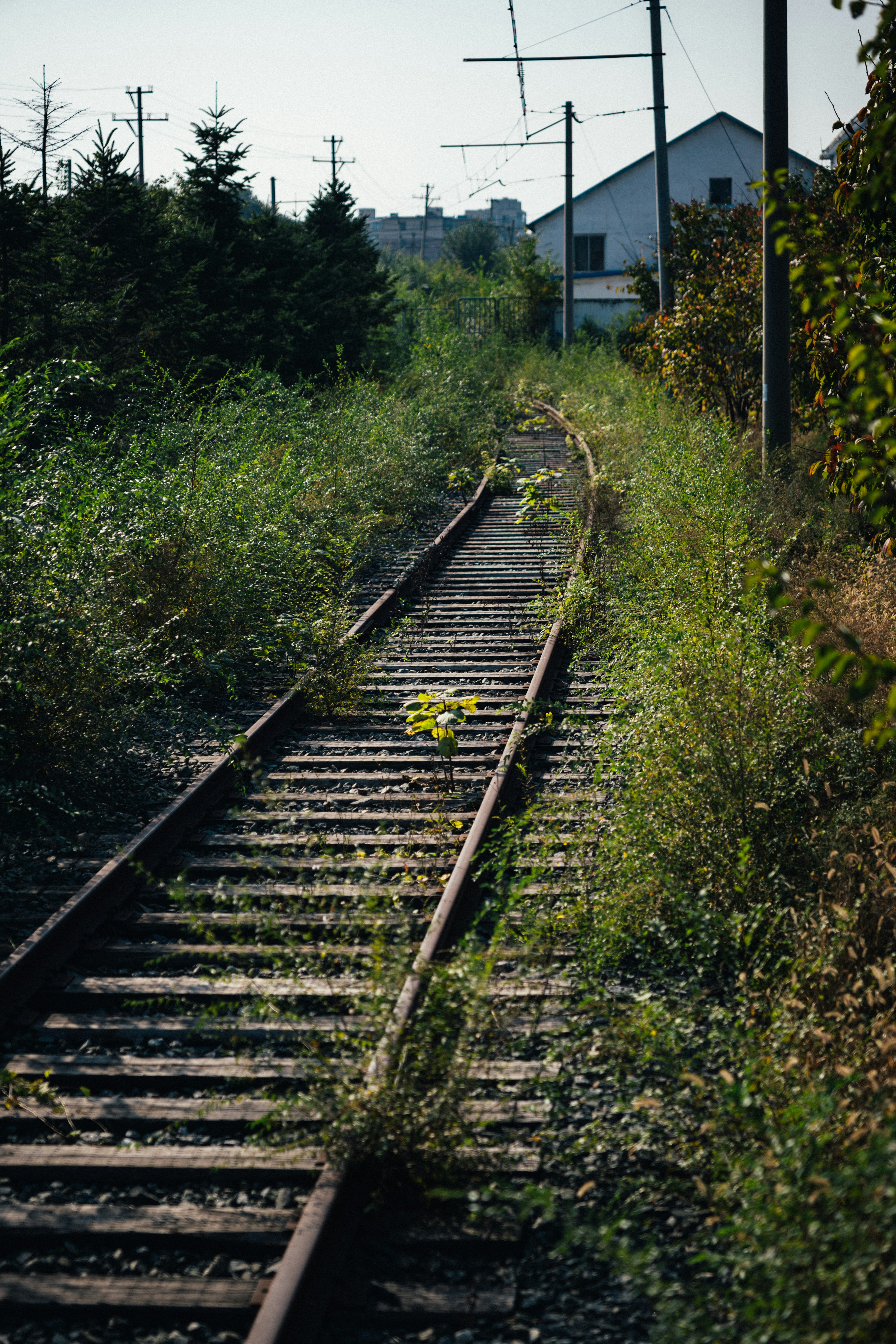 Photo by summerobelisk