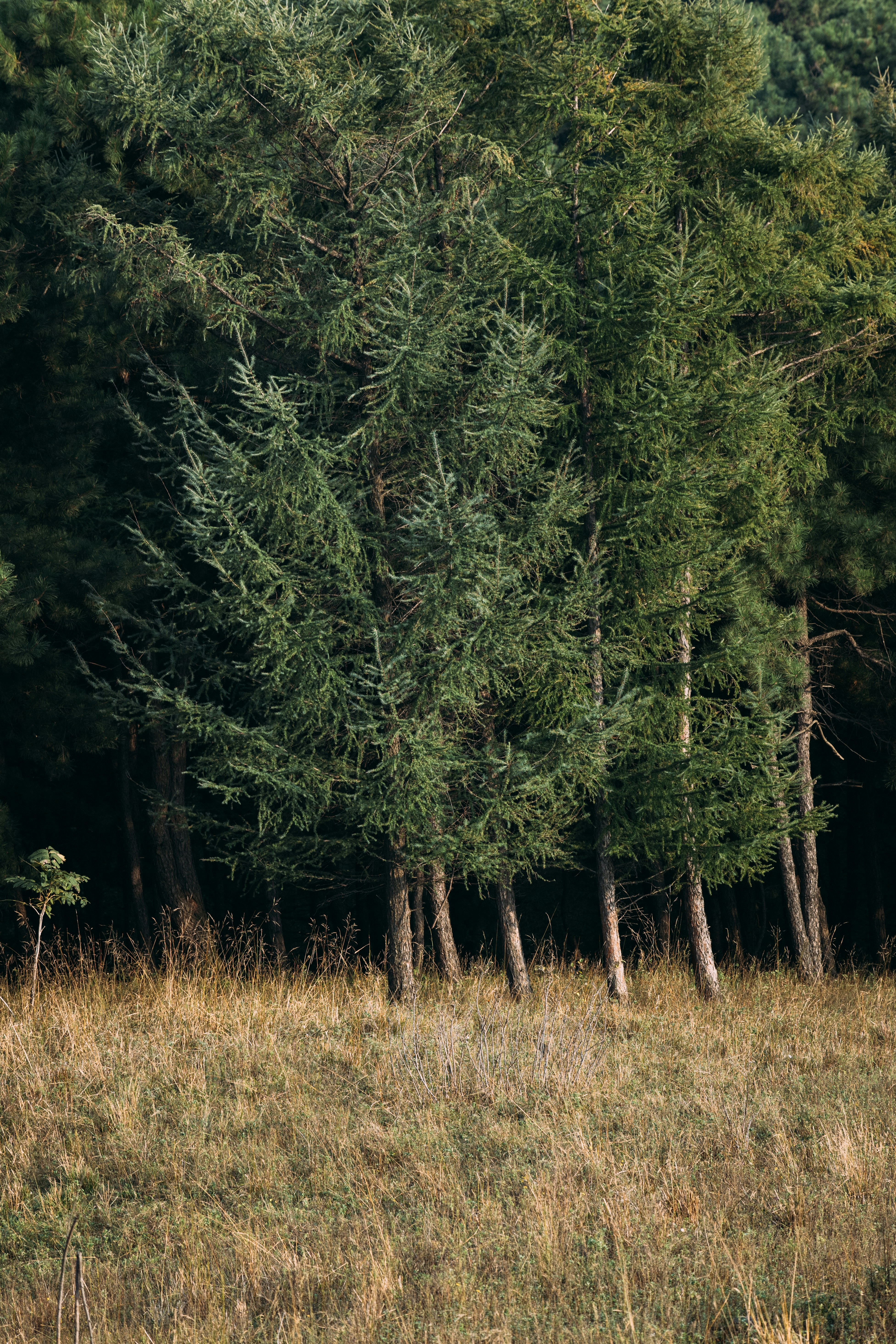 Photo by summerobelisk