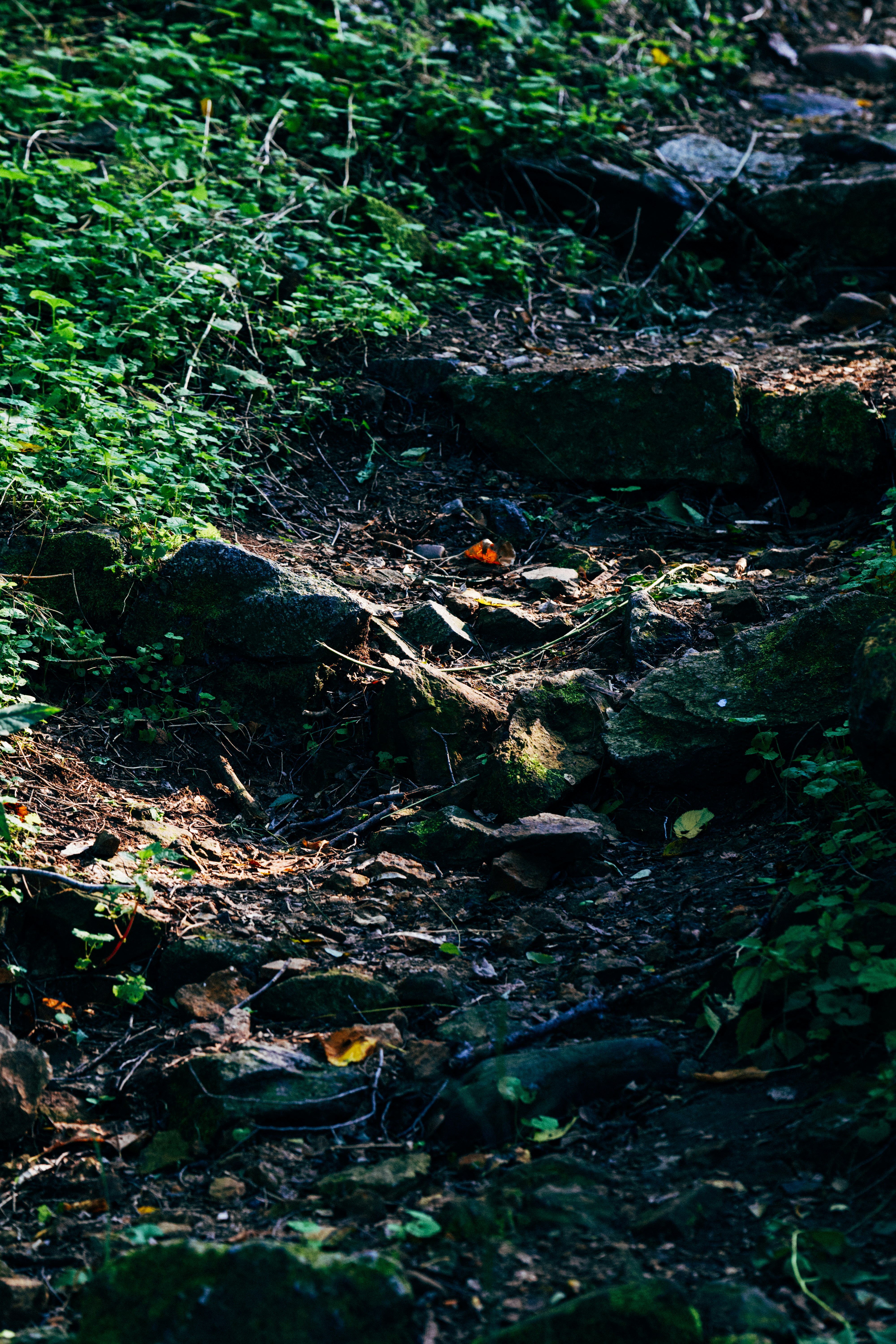 Photo by summerobelisk