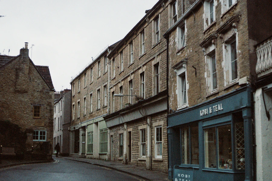 尼斯薩雷亞集市的花攤