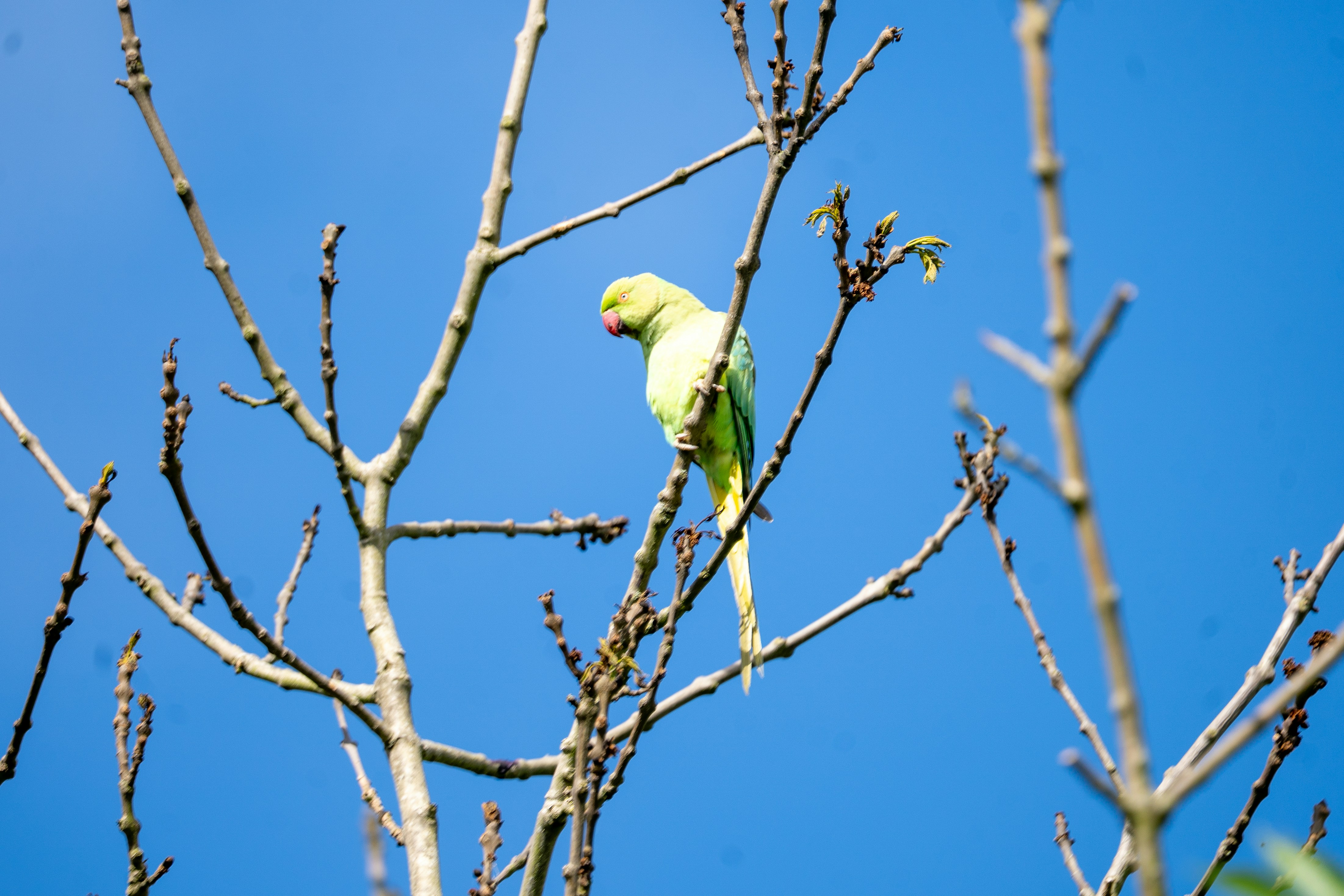 Photo by niall_smith