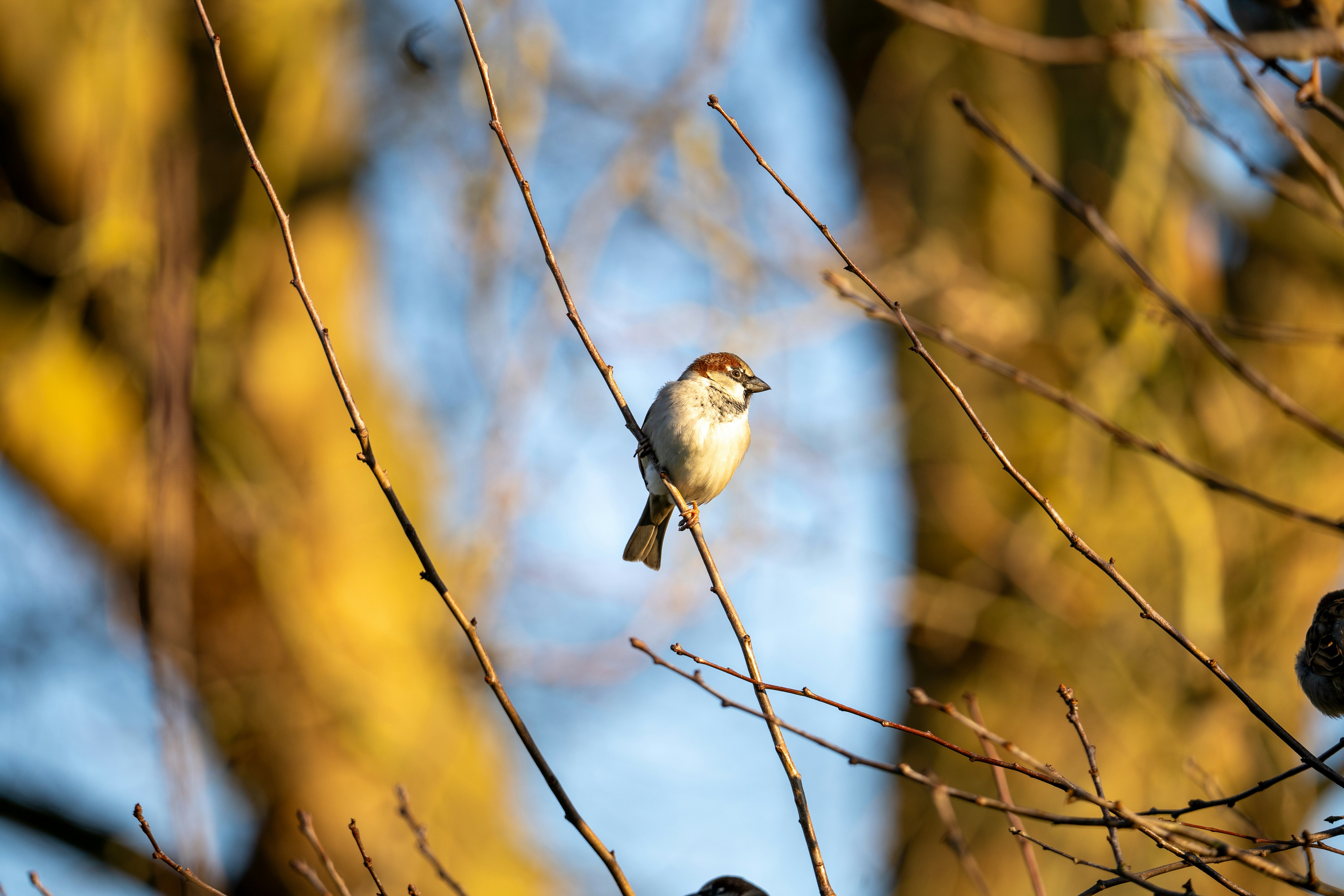 Photo by niall_smith