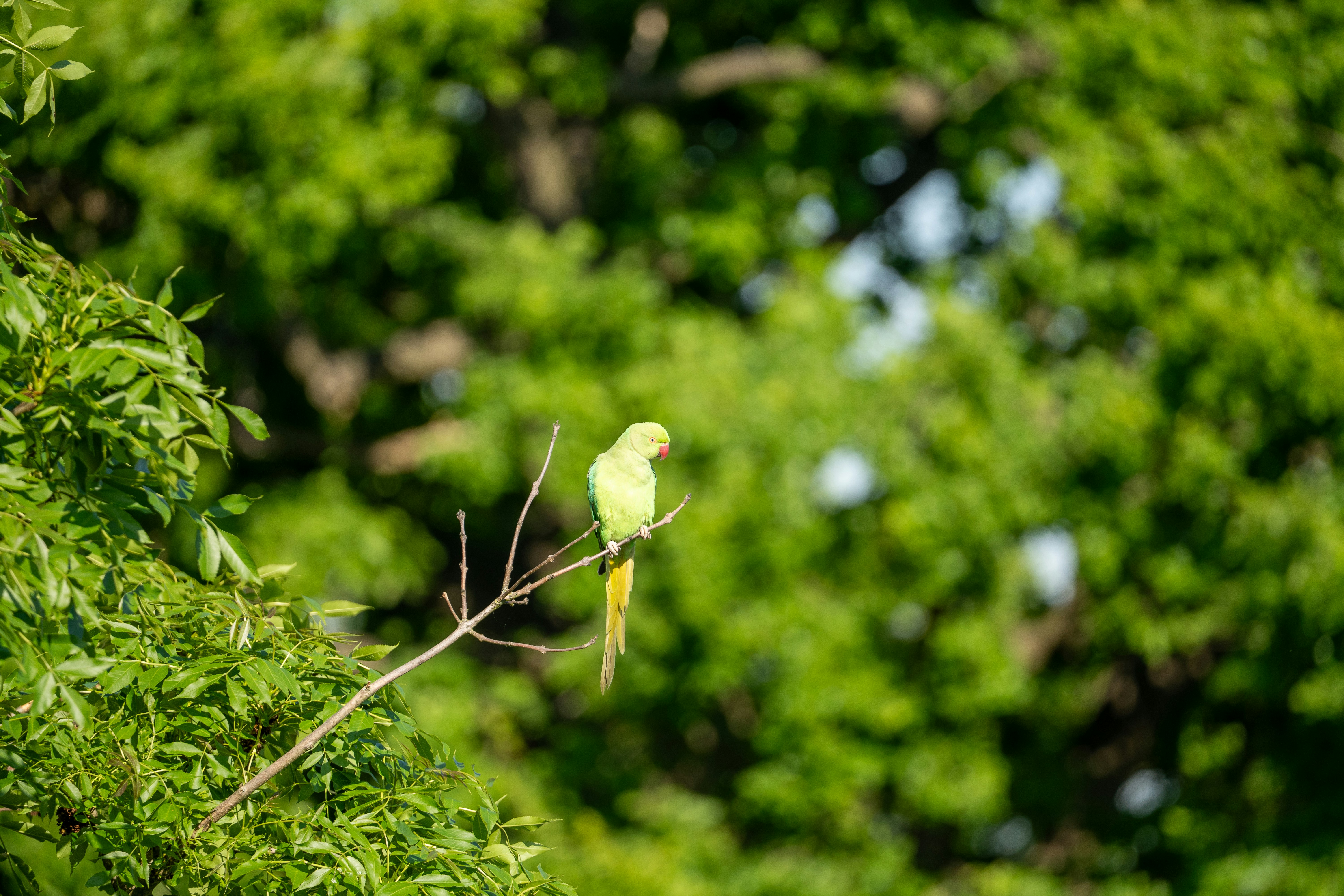 Photo by niall_smith