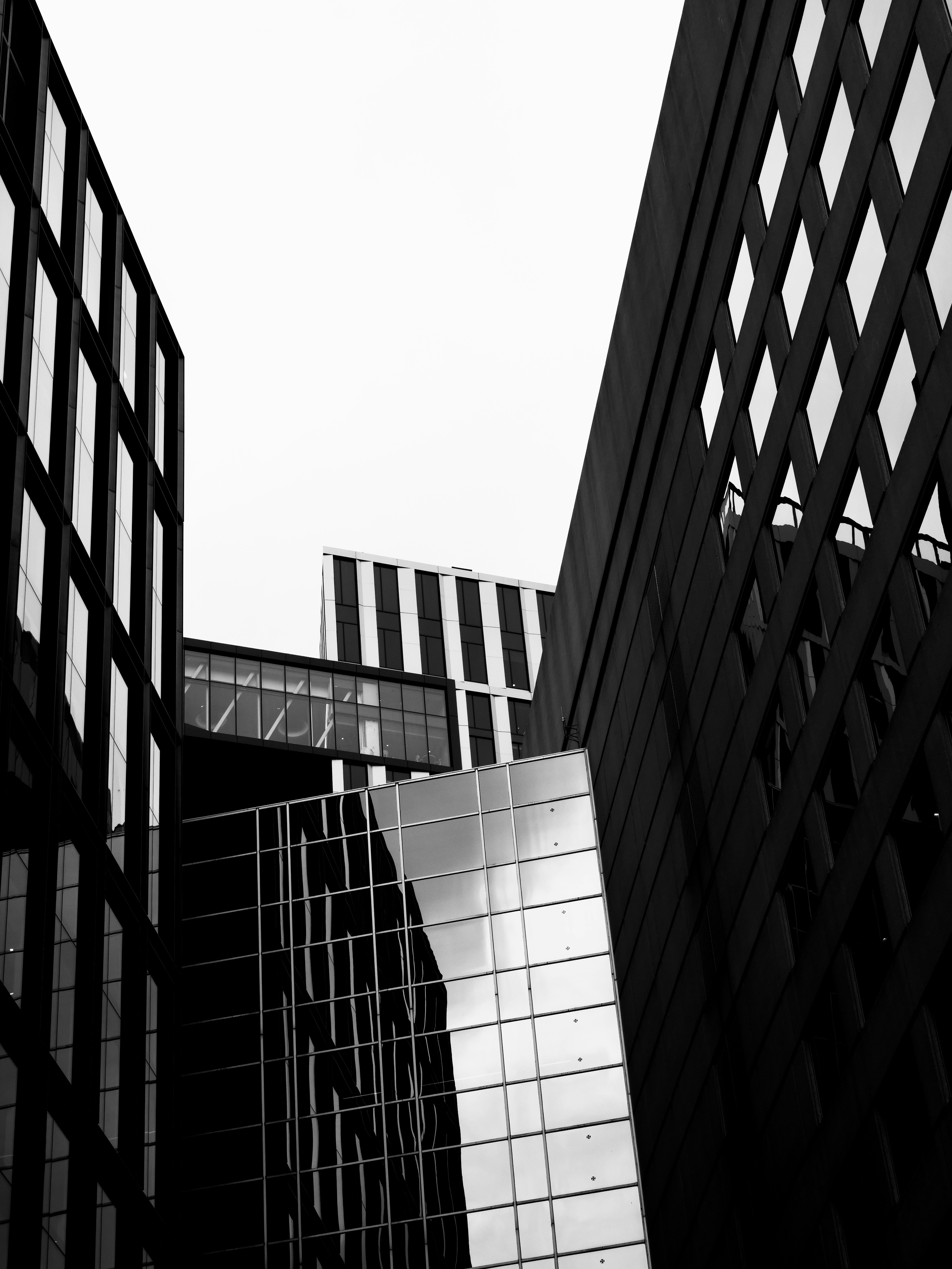 Photo by sschusterphotoart