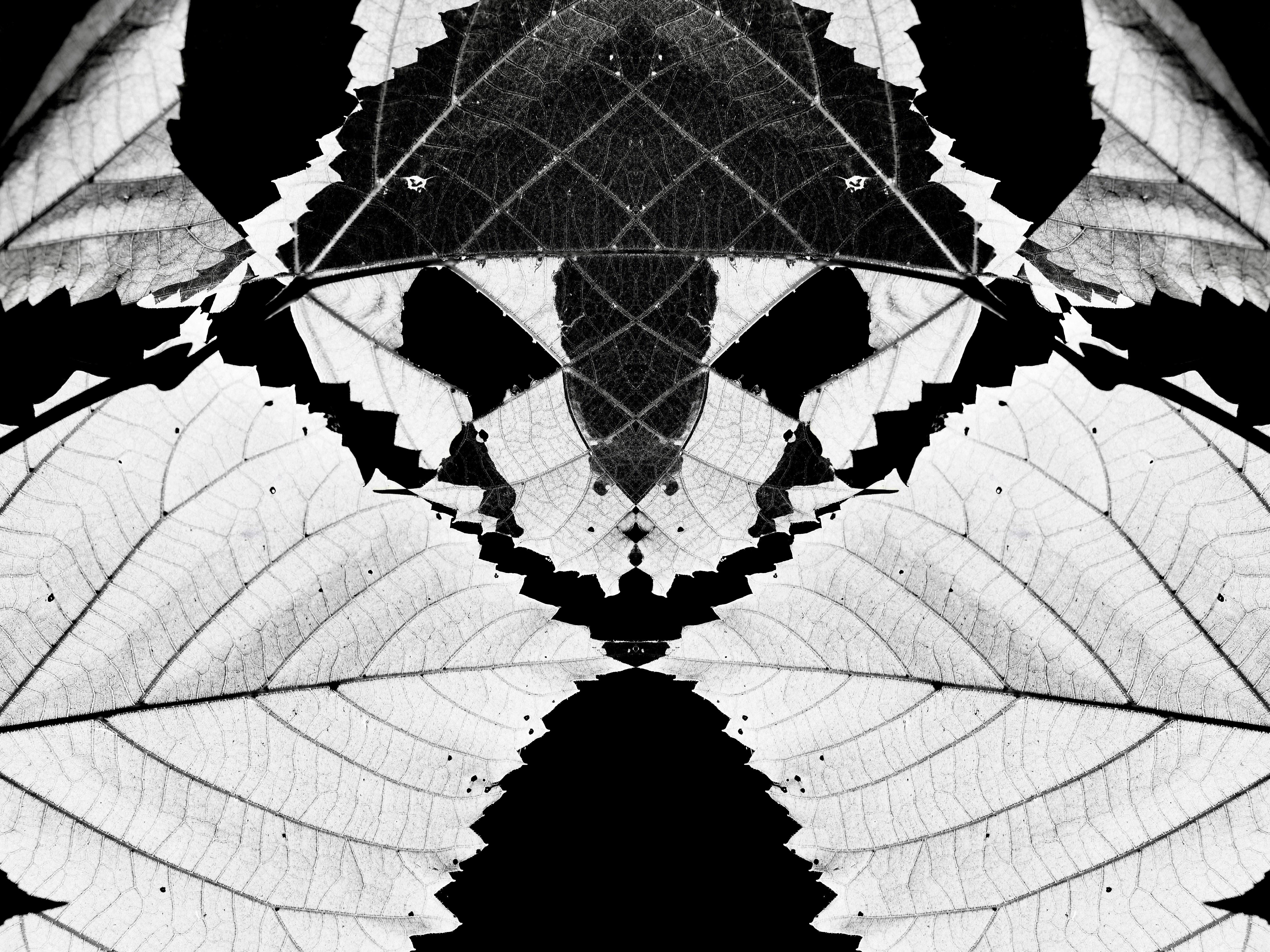 Photo by sschusterphotoart