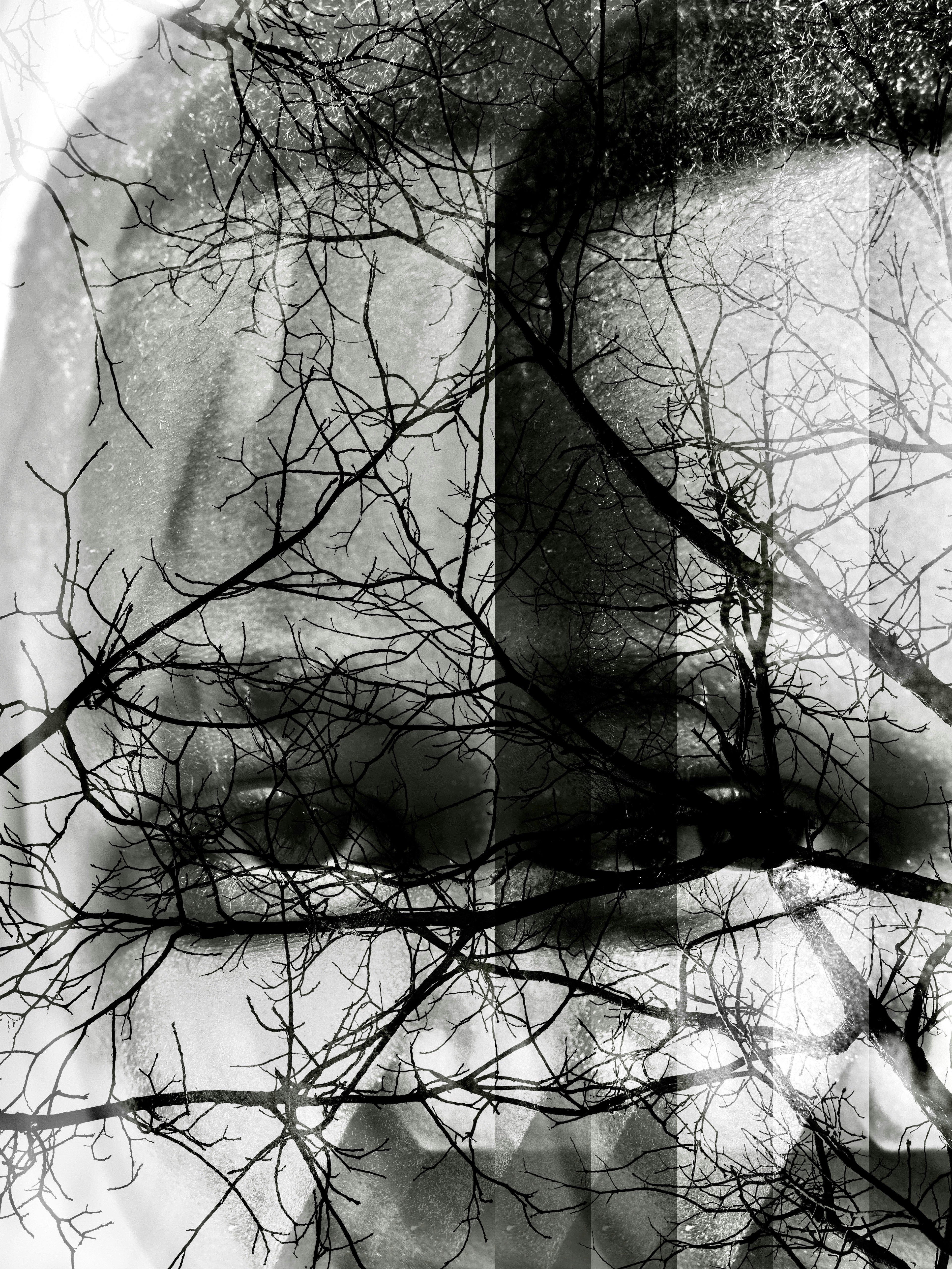 Photo by sschusterphotoart