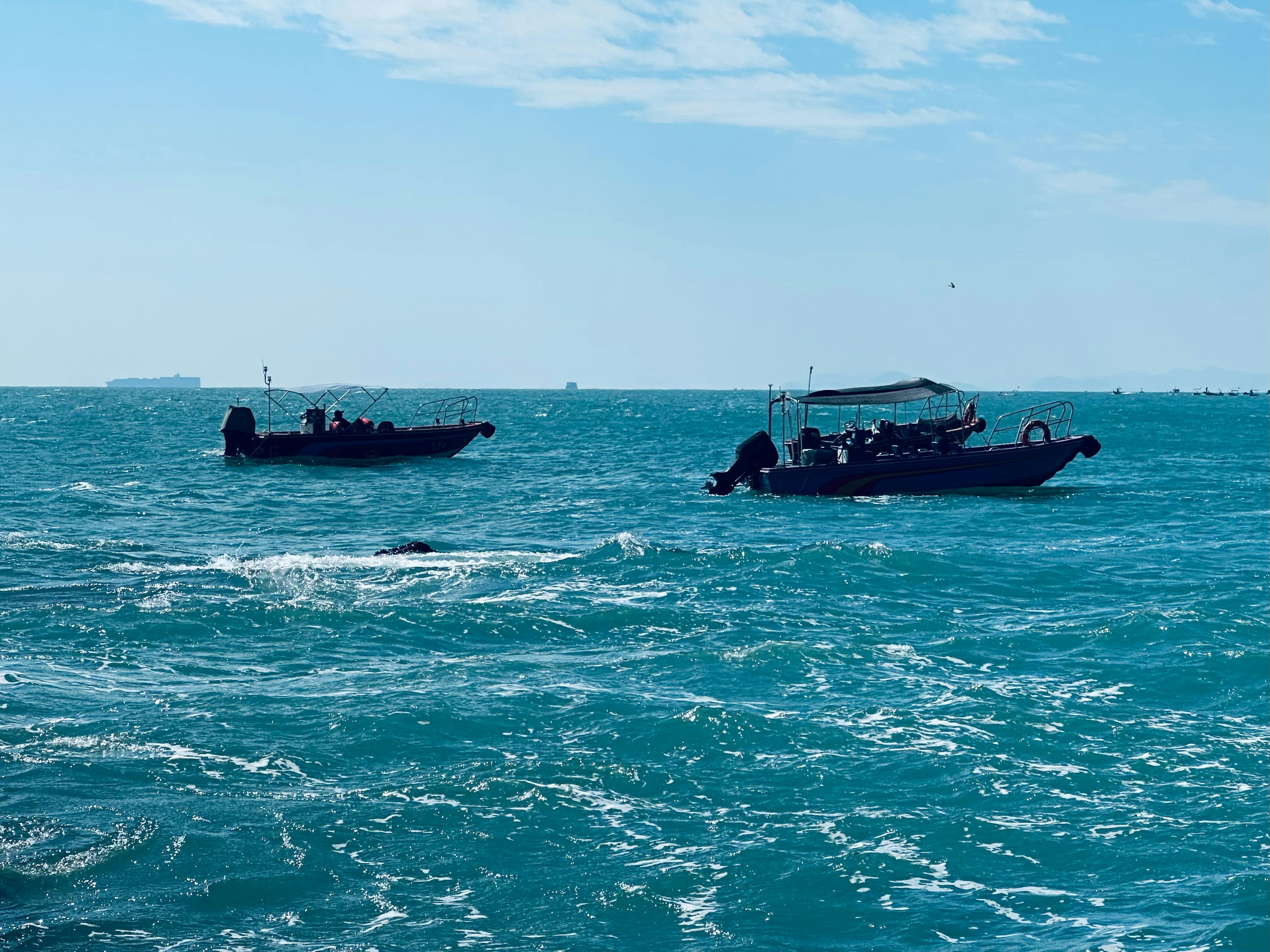 Photo by wheeloffortune