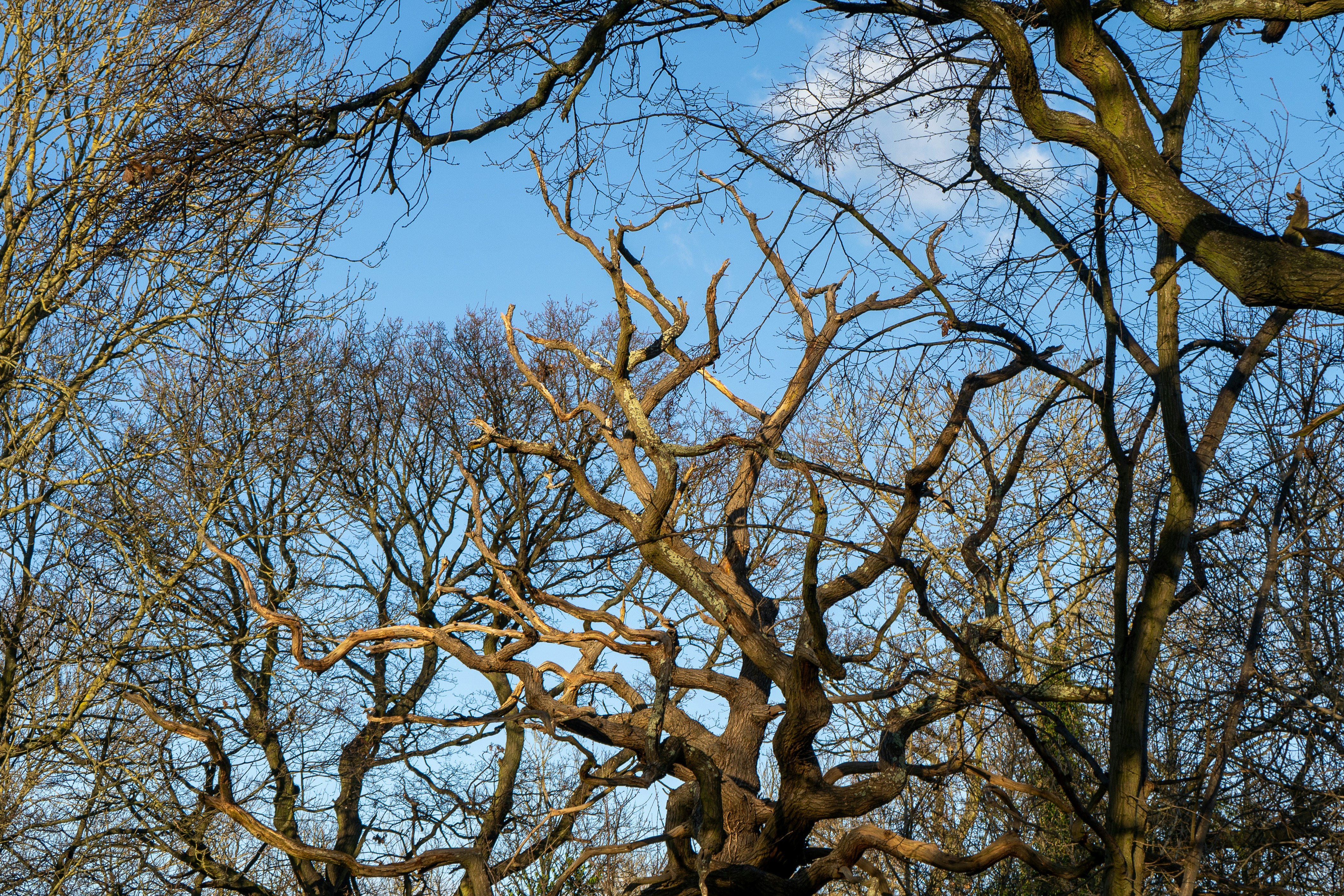 Photo by niall_smith