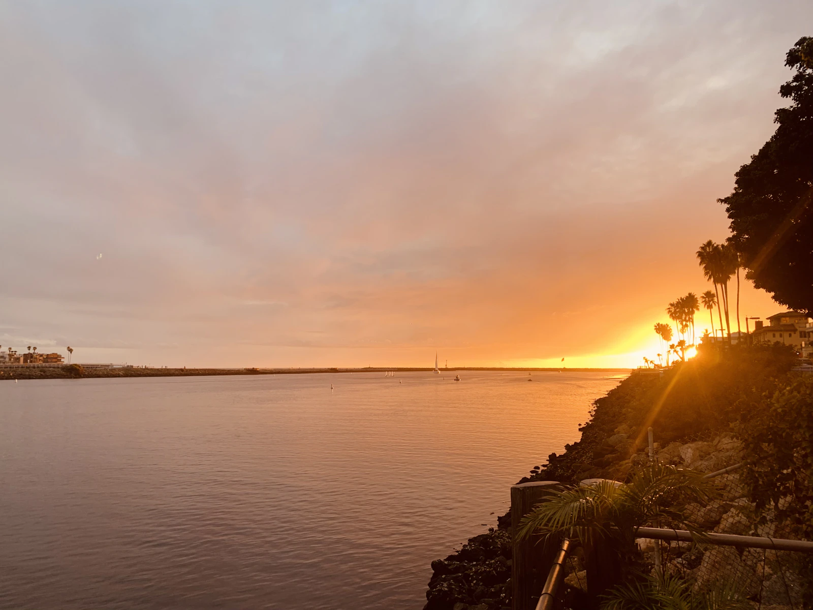 The Ritz-Carlton, Marina del Rey Names a New Executive Chef and Adds Pickleball