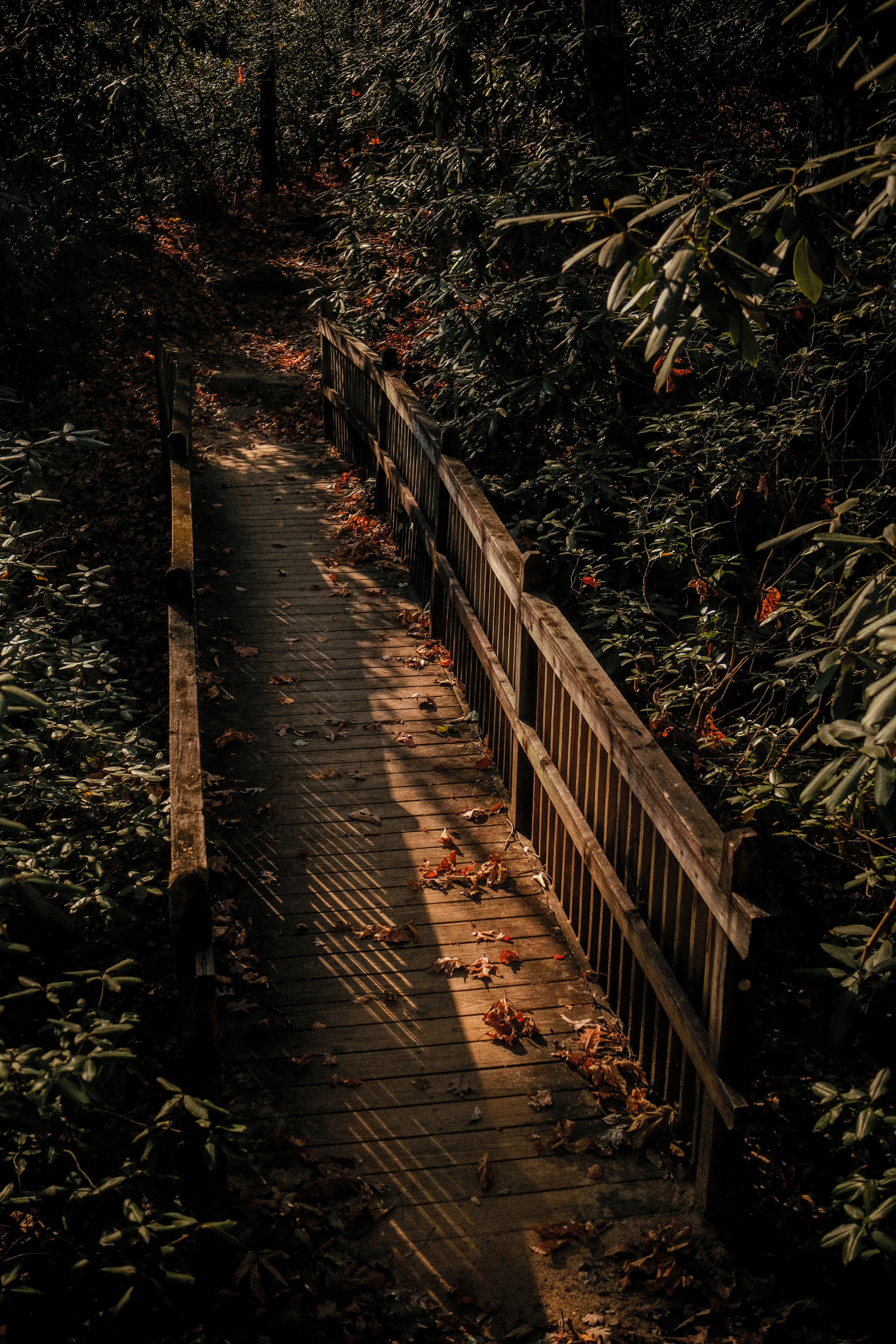 Photo by david_moorhouse