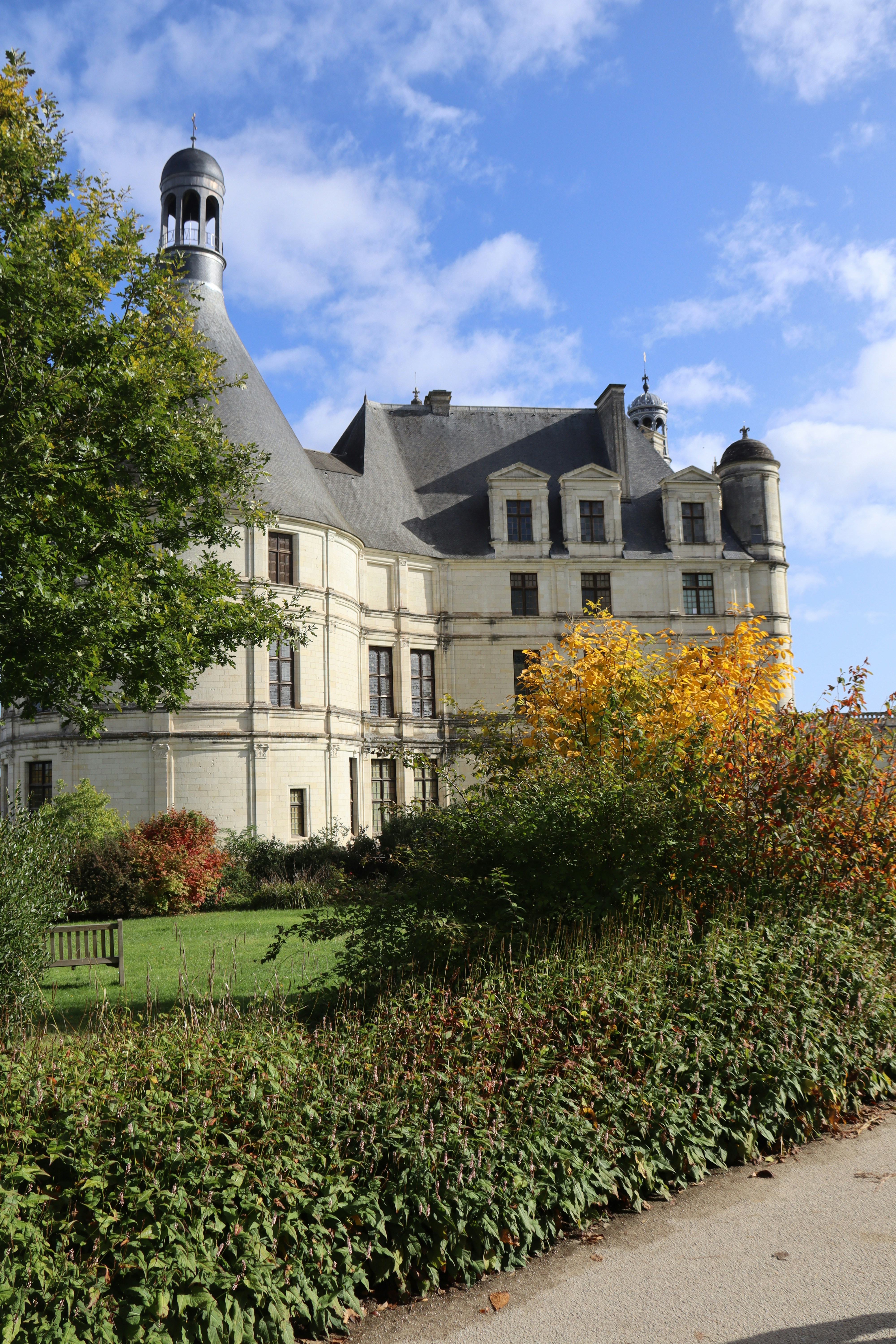 Photo by shalevcohen