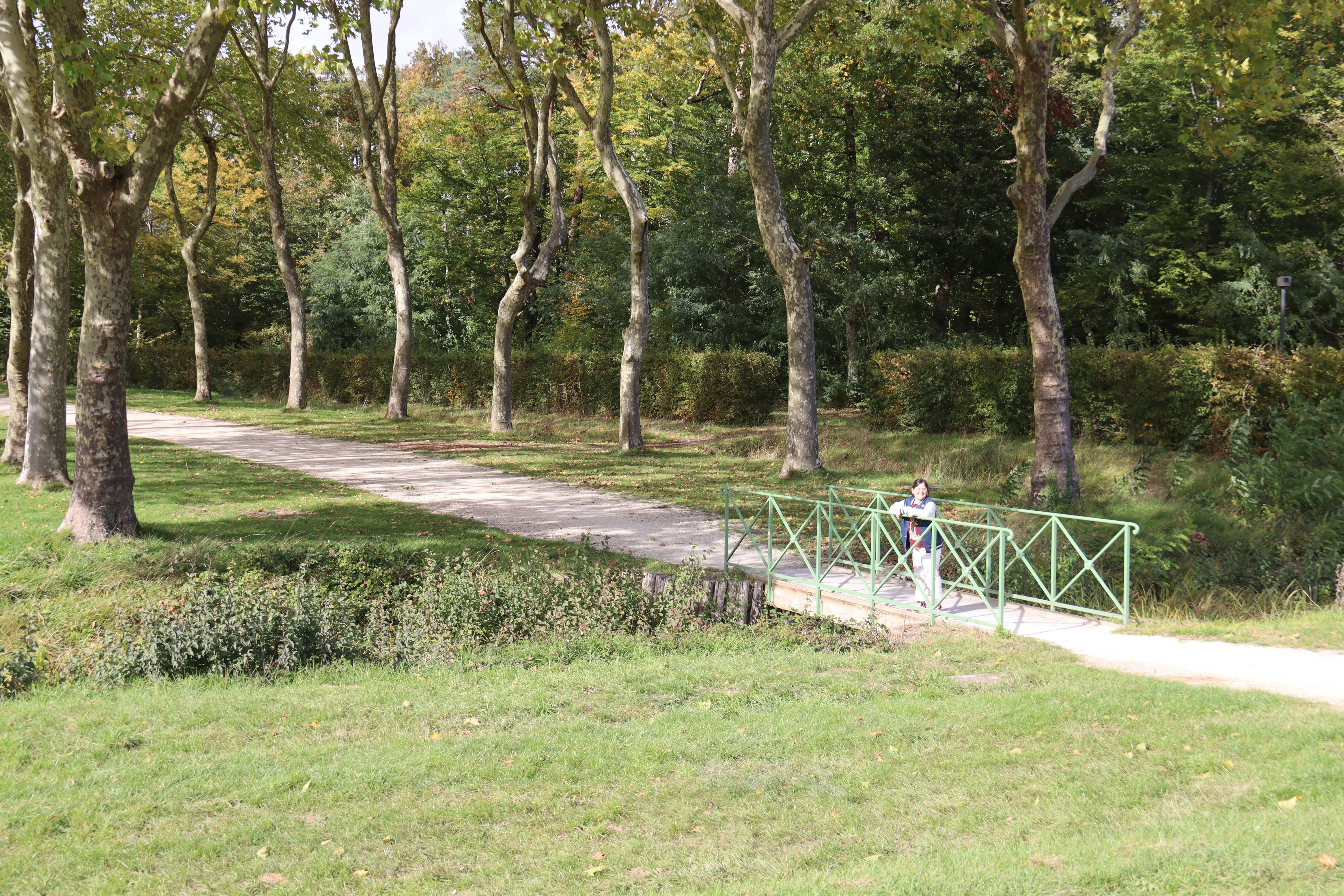 Photo by shalevcohen