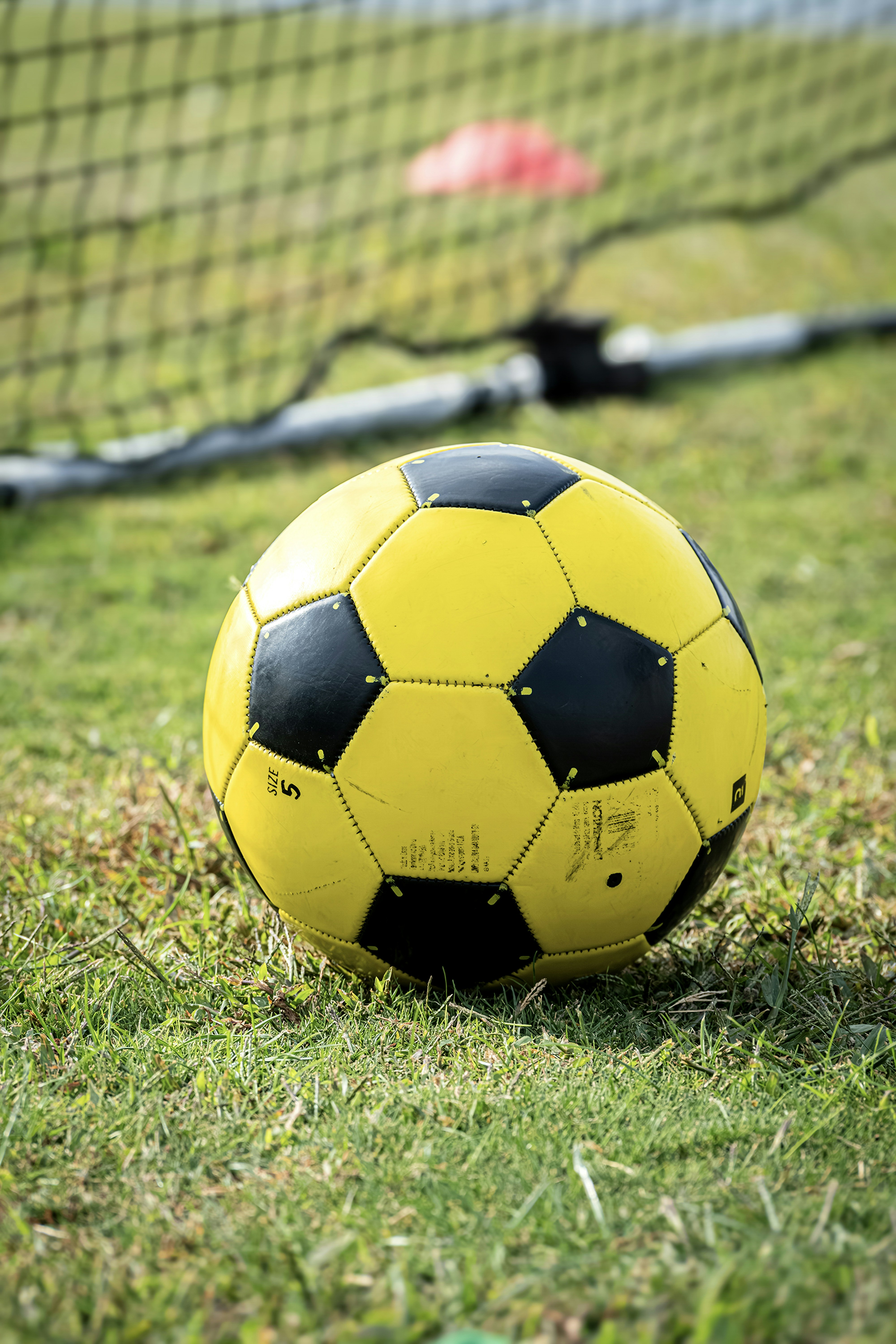 Photo by graphis_photos