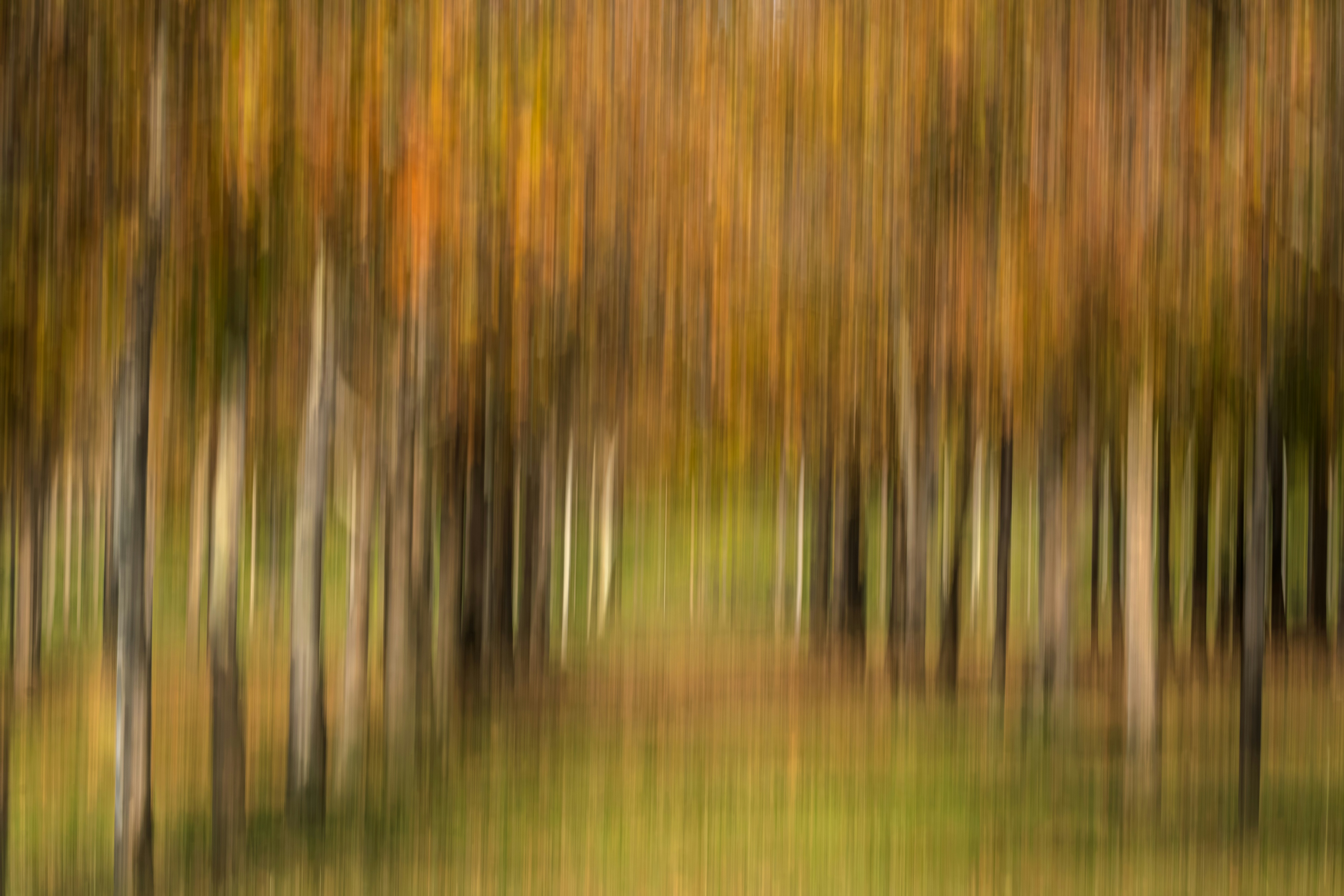 Photo by graphis_photos