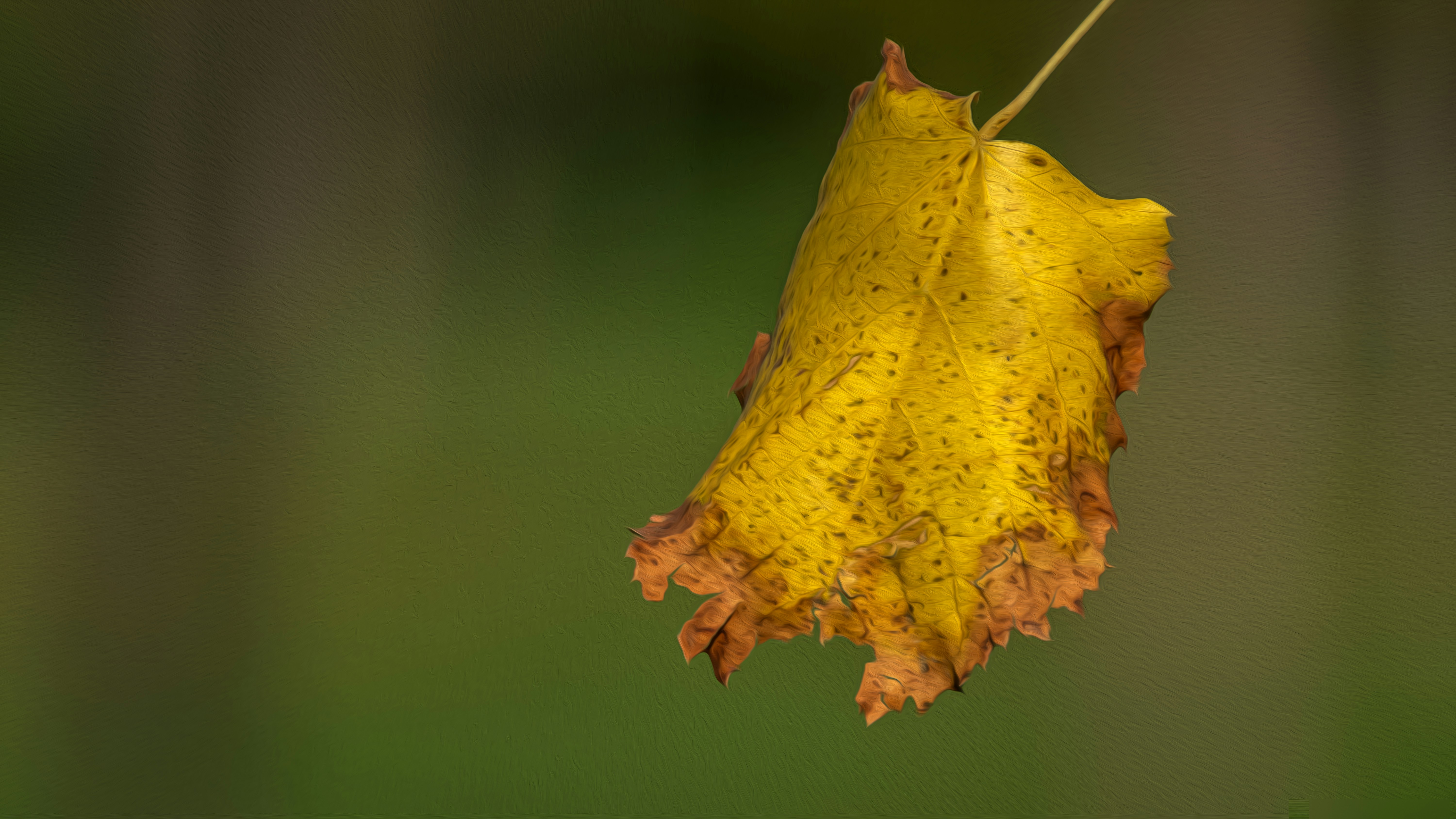 Photo by graphis_photos