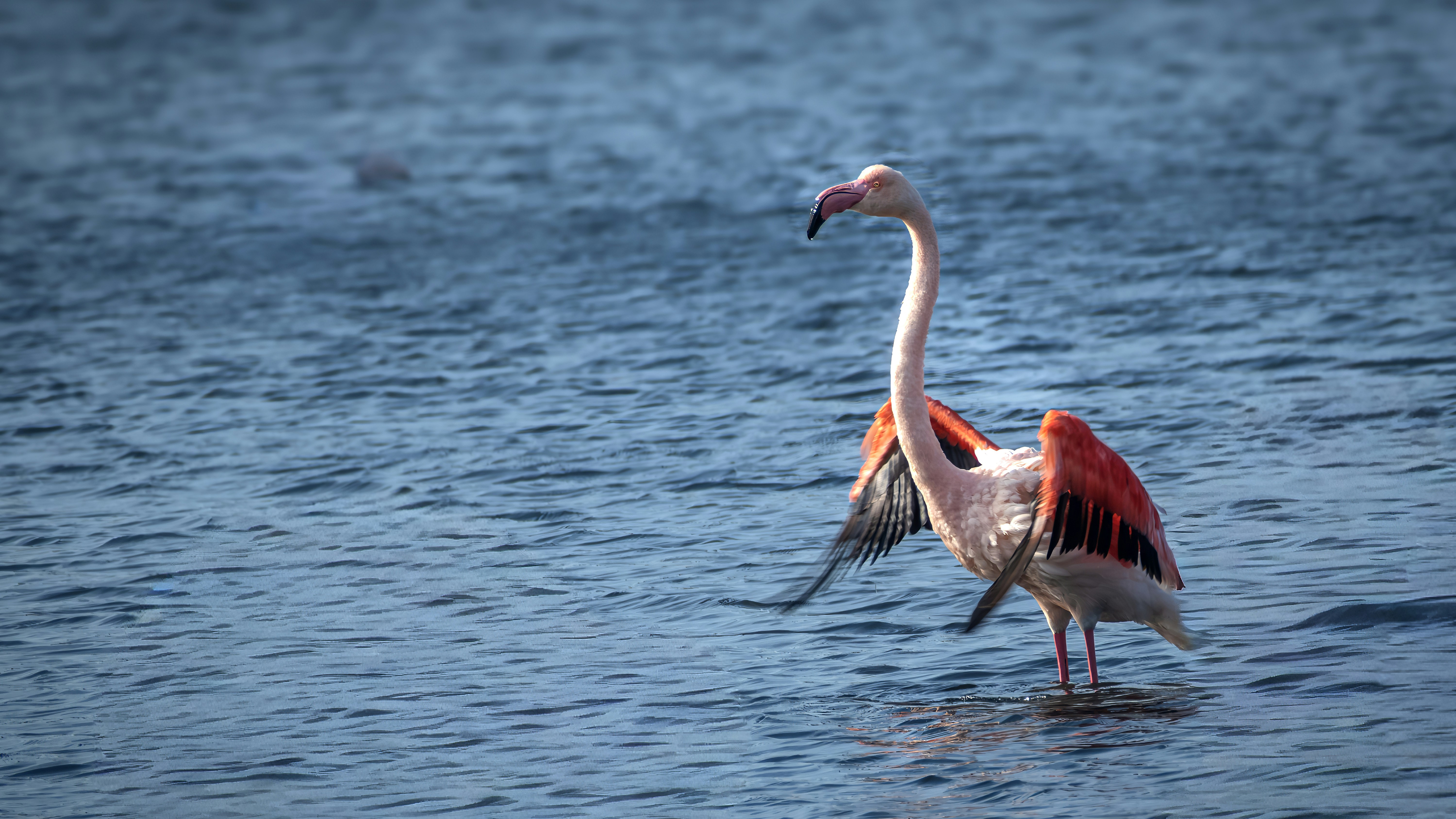 Photo by graphis_photos